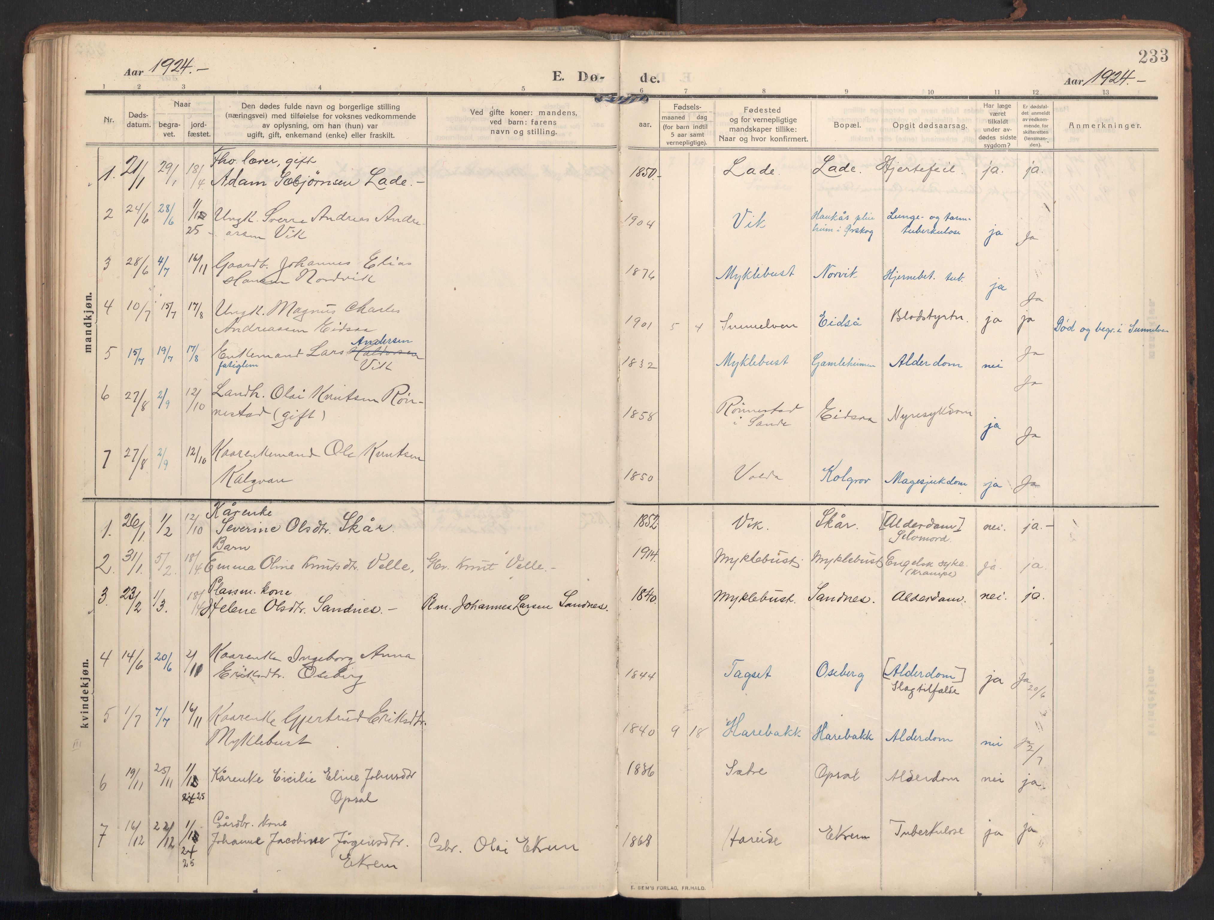 Ministerialprotokoller, klokkerbøker og fødselsregistre - Møre og Romsdal, AV/SAT-A-1454/502/L0026: Parish register (official) no. 502A04, 1909-1933, p. 233