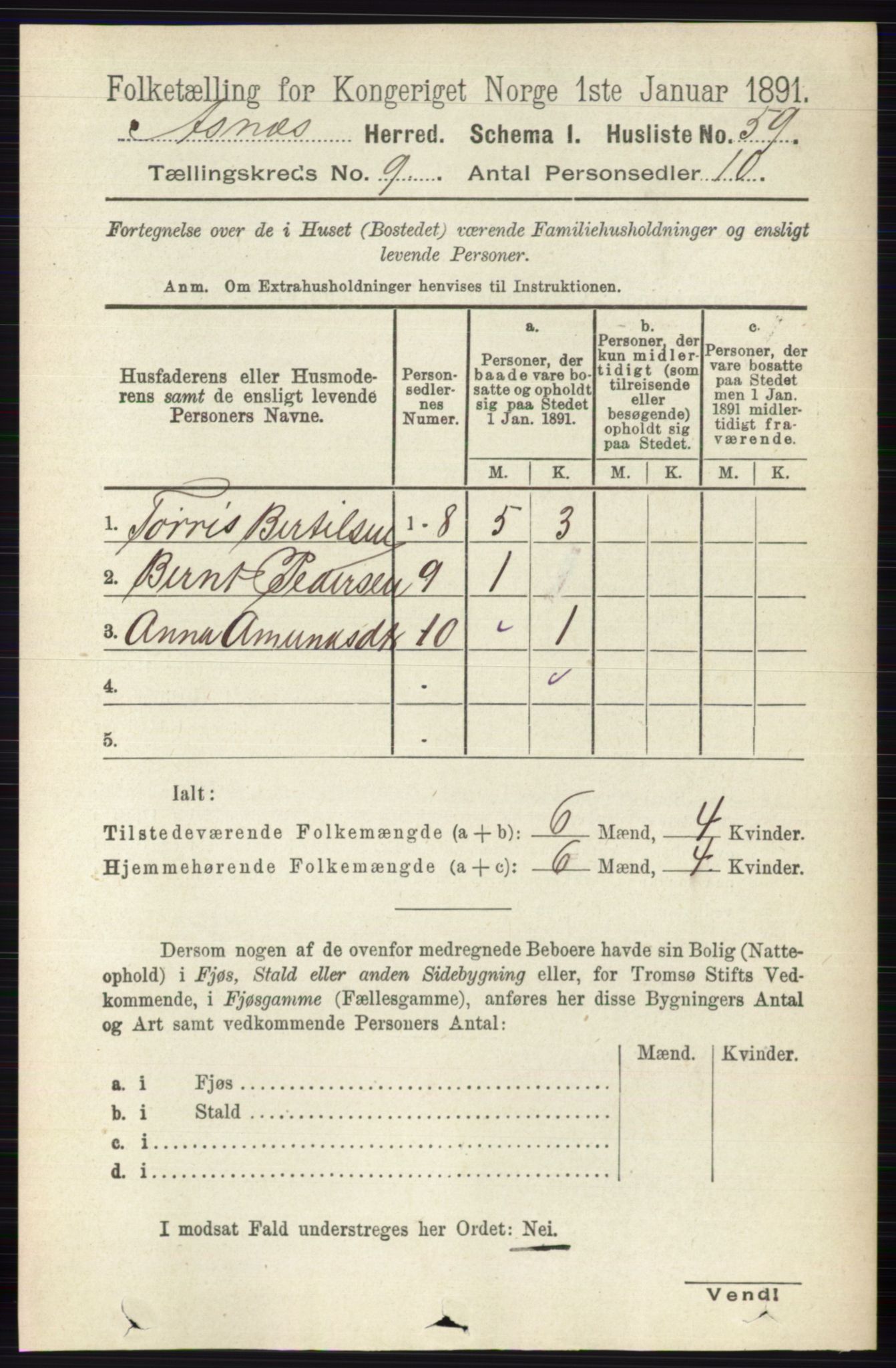 RA, 1891 census for 0425 Åsnes, 1891, p. 4606