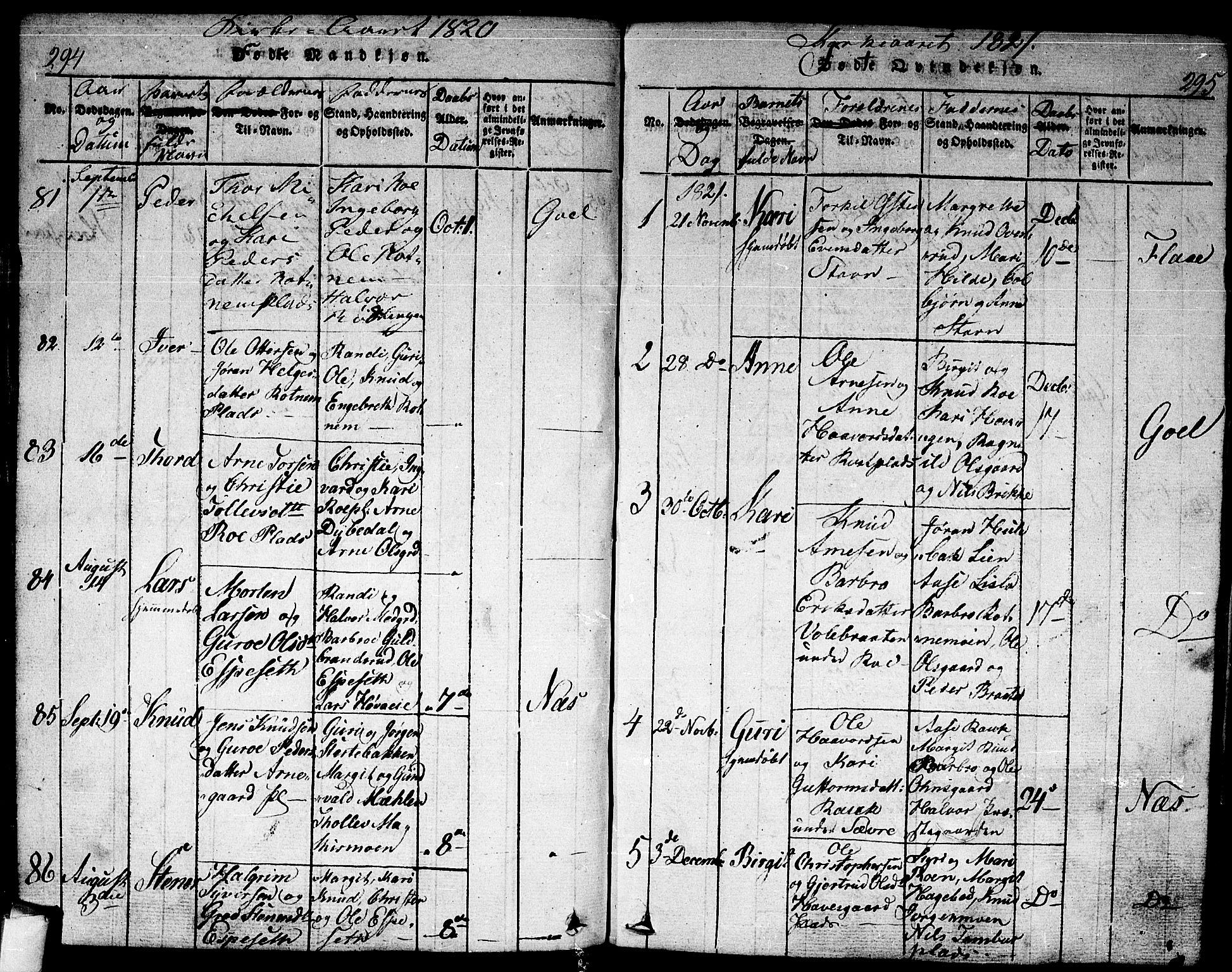 Nes kirkebøker, AV/SAKO-A-236/F/Fa/L0007: Parish register (official) no. 7, 1815-1823, p. 294-295