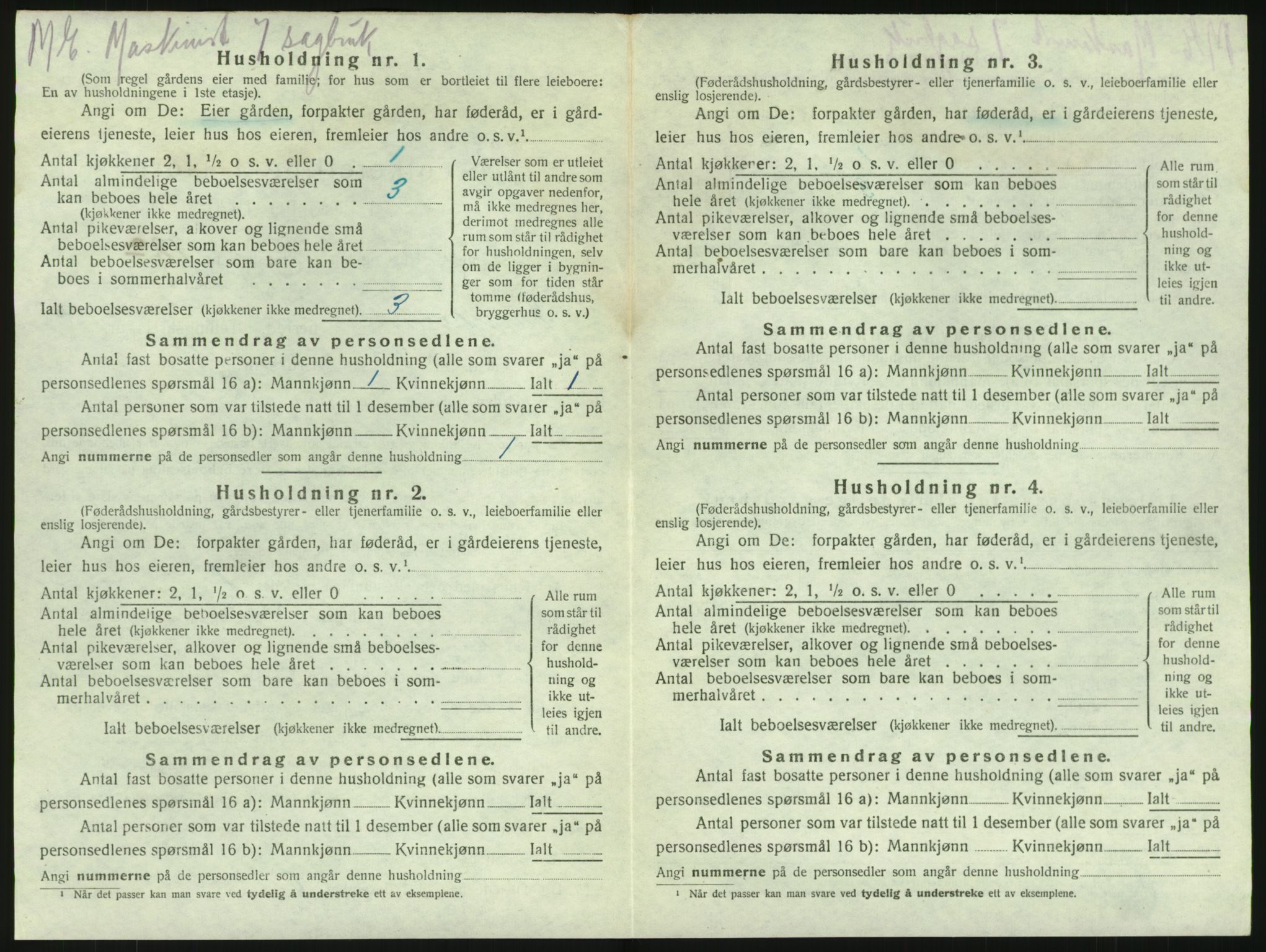 SAKO, 1920 census for Brunlanes, 1920, p. 1732
