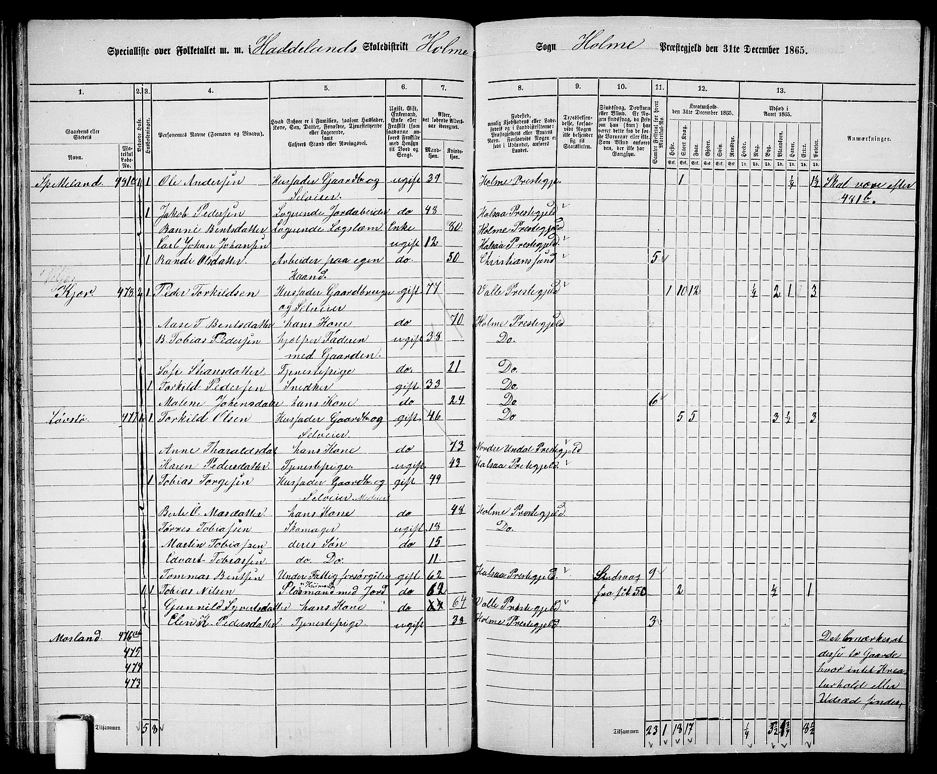 RA, 1865 census for Holum, 1865, p. 45