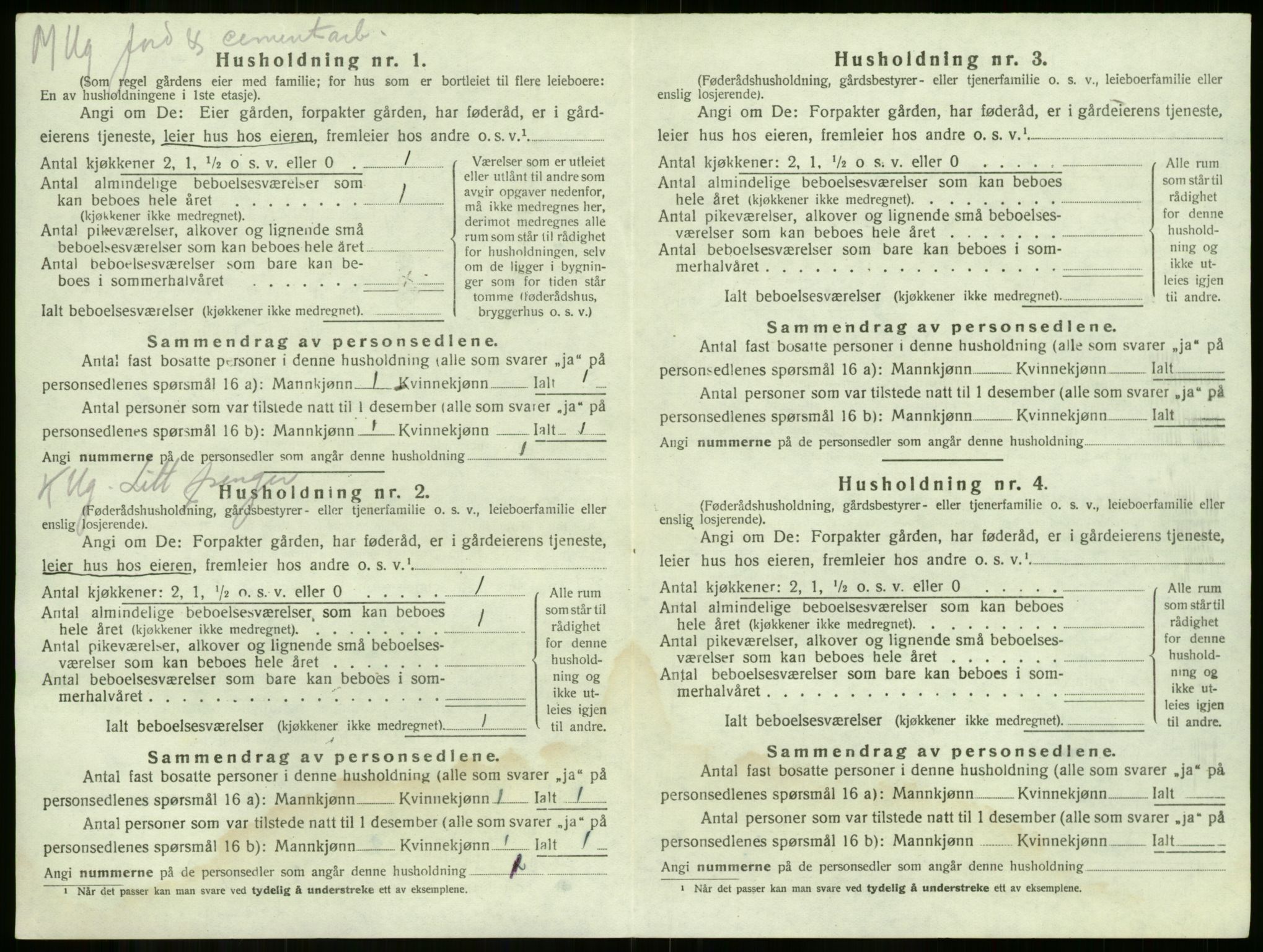 SAKO, 1920 census for Våle, 1920, p. 1019