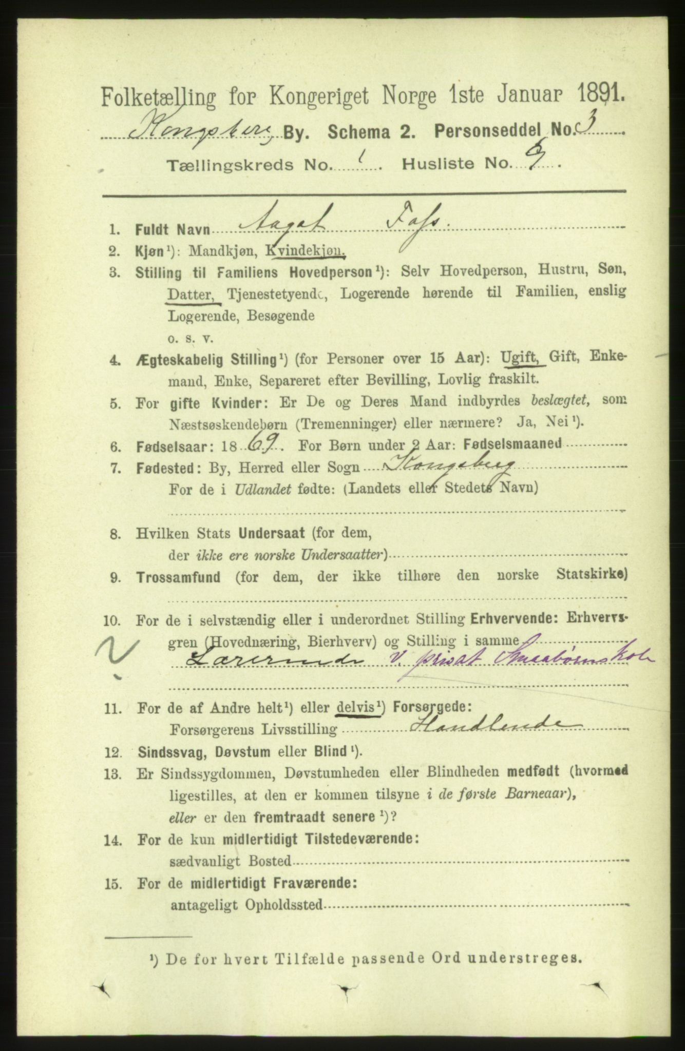 RA, 1891 census for 0604 Kongsberg, 1891, p. 1655