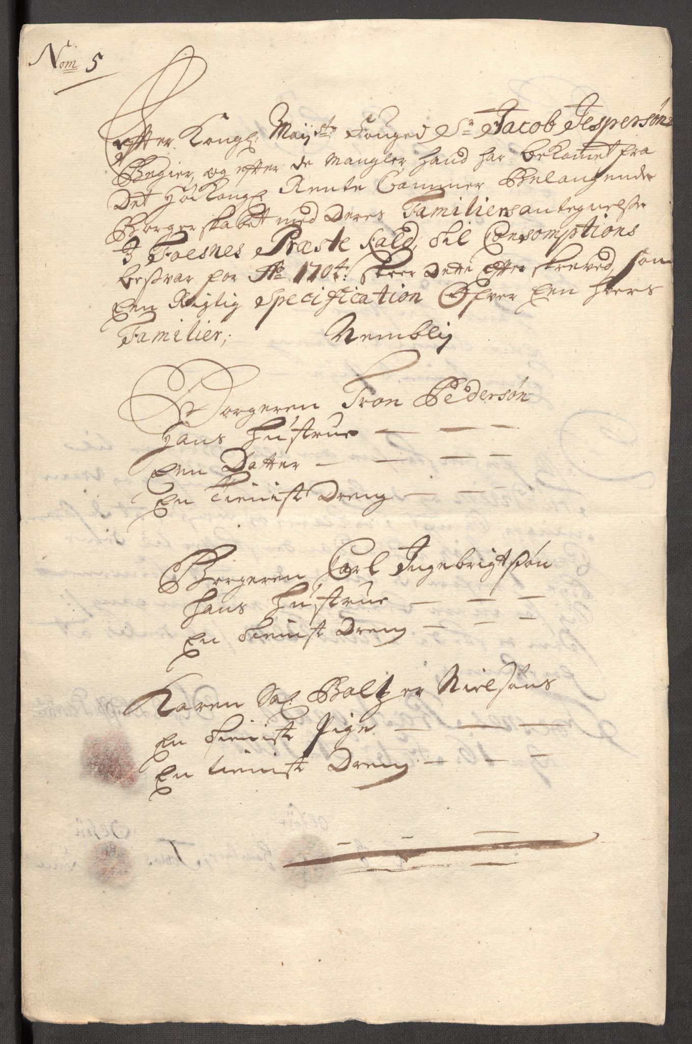 Rentekammeret inntil 1814, Reviderte regnskaper, Fogderegnskap, AV/RA-EA-4092/R64/L4429: Fogderegnskap Namdal, 1705-1706, p. 228