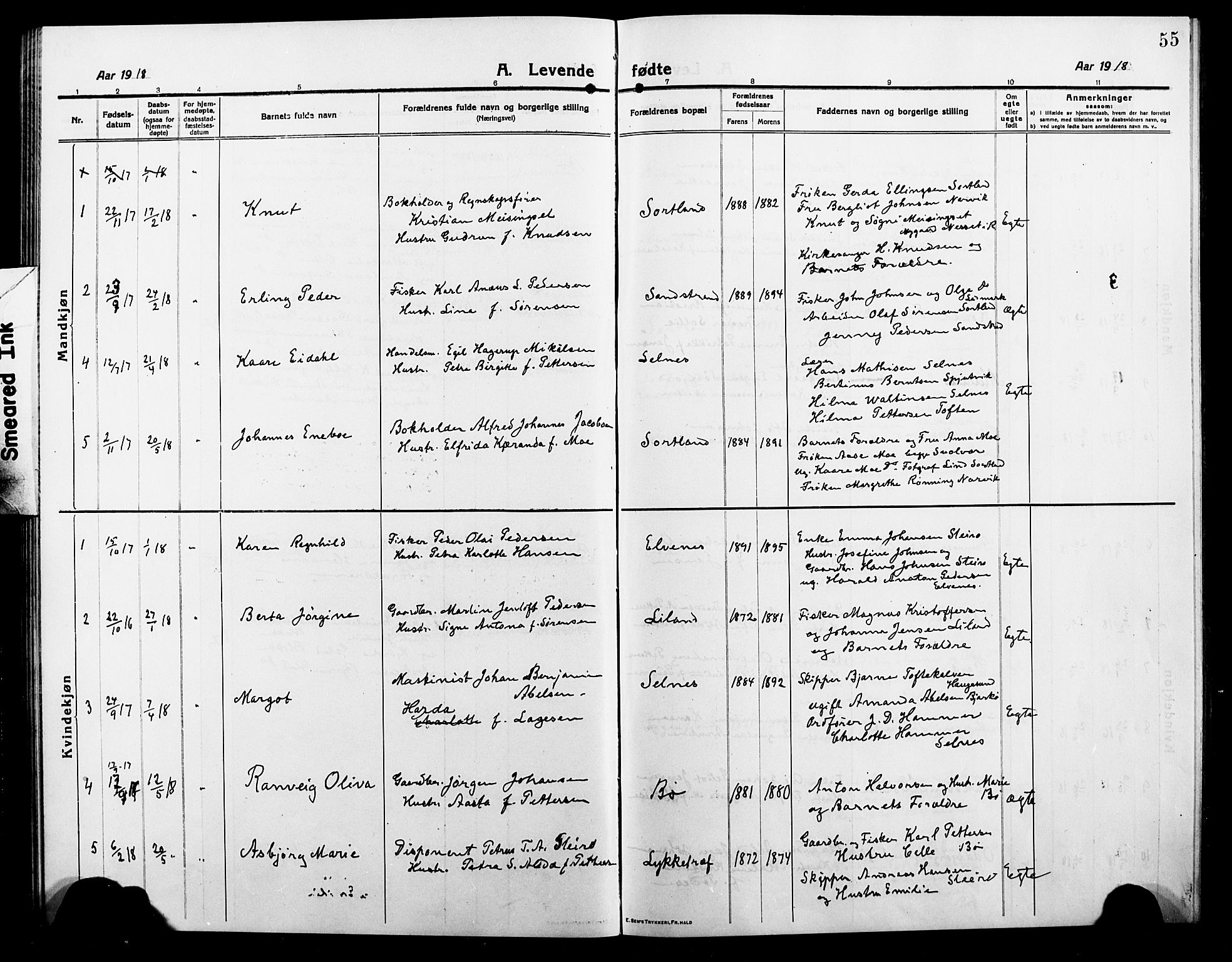 Ministerialprotokoller, klokkerbøker og fødselsregistre - Nordland, AV/SAT-A-1459/895/L1383: Parish register (copy) no. 895C05, 1913-1922, p. 55