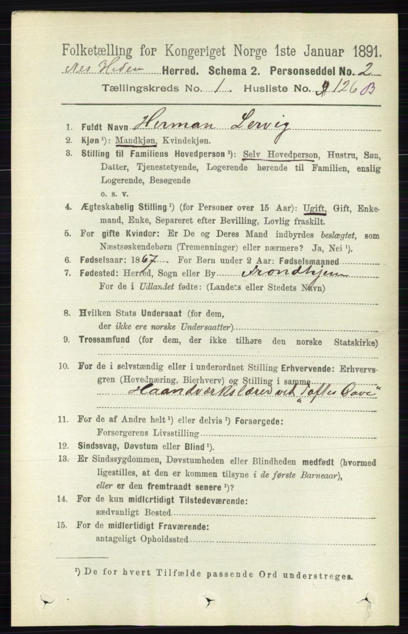 RA, 1891 census for 0411 Nes, 1891, p. 909