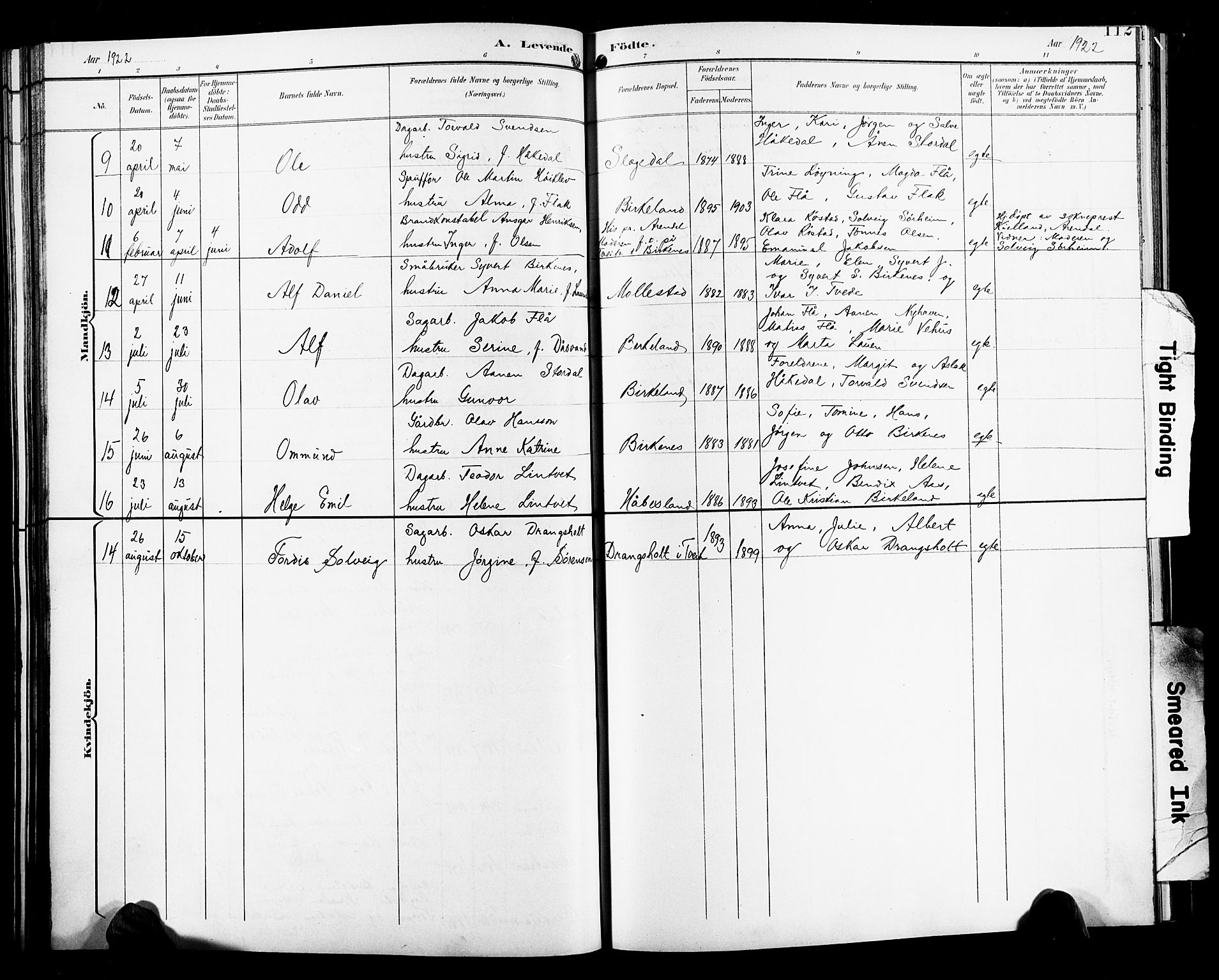 Birkenes sokneprestkontor, AV/SAK-1111-0004/F/Fb/L0004: Parish register (copy) no. B 4, 1893-1930, p. 112