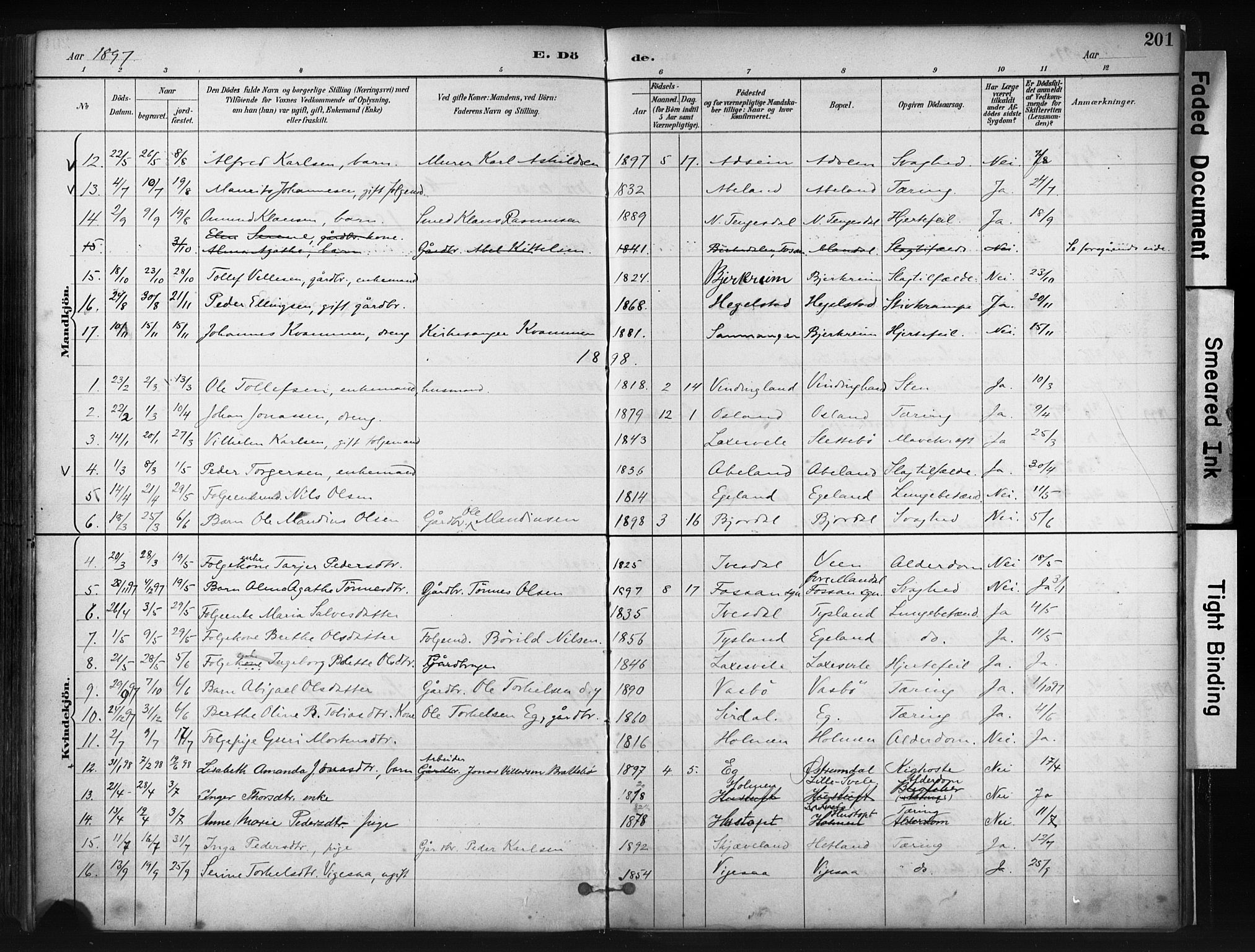 Helleland sokneprestkontor, AV/SAST-A-101810: Parish register (official) no. A 9, 1887-1908, p. 201