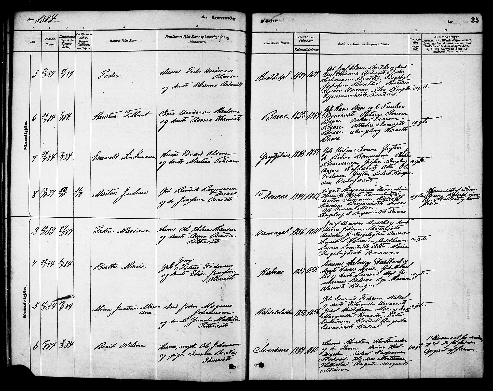 Ministerialprotokoller, klokkerbøker og fødselsregistre - Nord-Trøndelag, SAT/A-1458/742/L0408: Parish register (official) no. 742A01, 1878-1890, p. 25