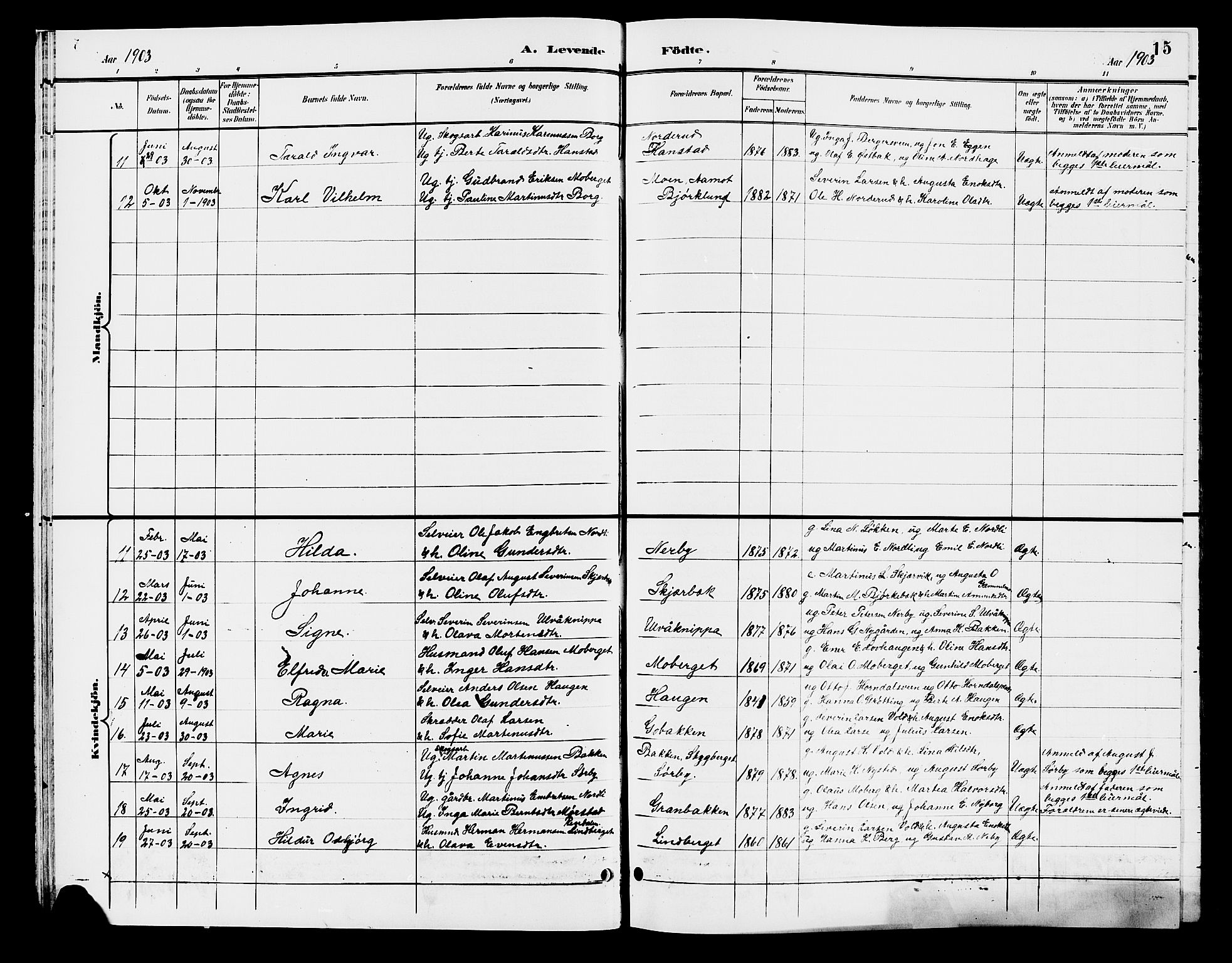 Elverum prestekontor, AV/SAH-PREST-044/H/Ha/Hab/L0007: Parish register (copy) no. 7, 1896-1914, p. 15