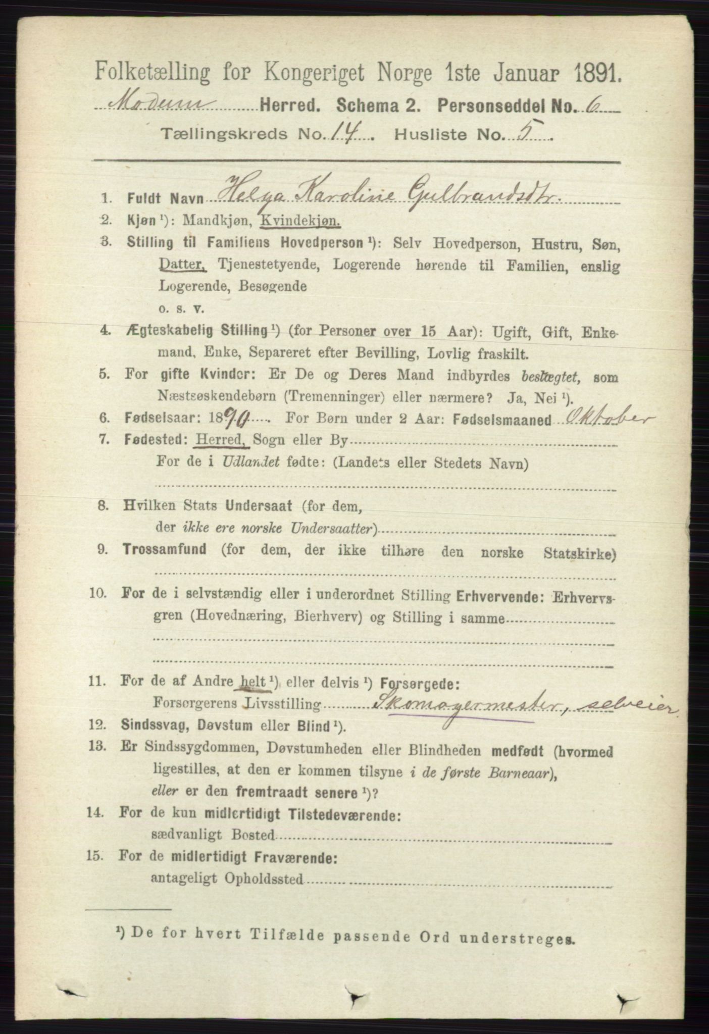 RA, 1891 census for 0623 Modum, 1891, p. 5493