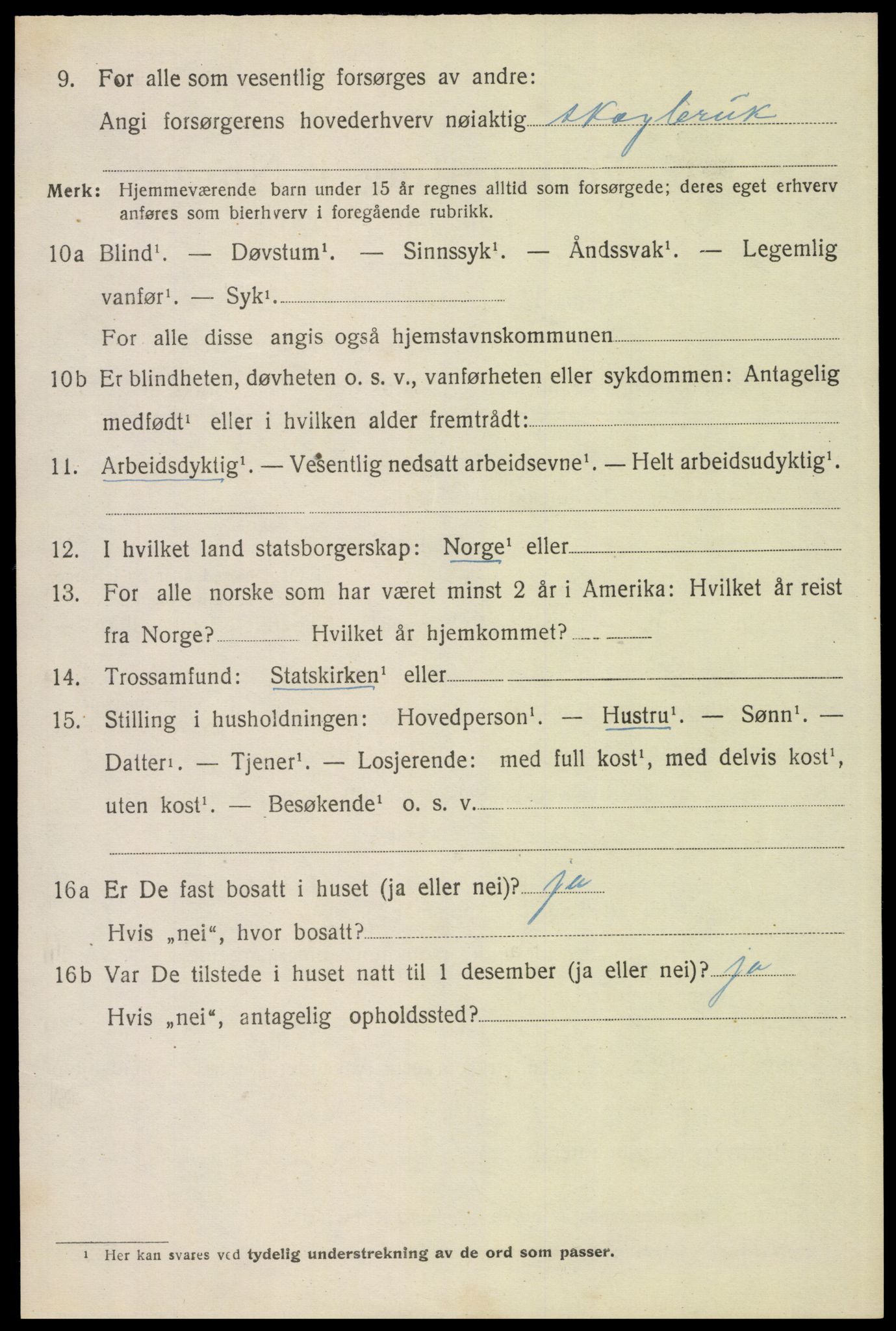 SAH, 1920 census for Trysil, 1920, p. 13004
