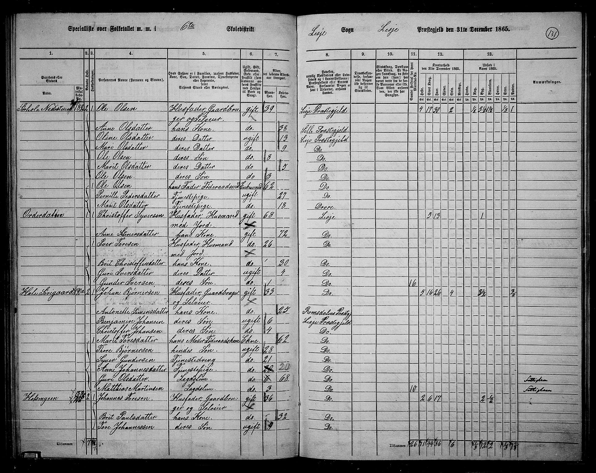 RA, 1865 census for Lesja, 1865, p. 118