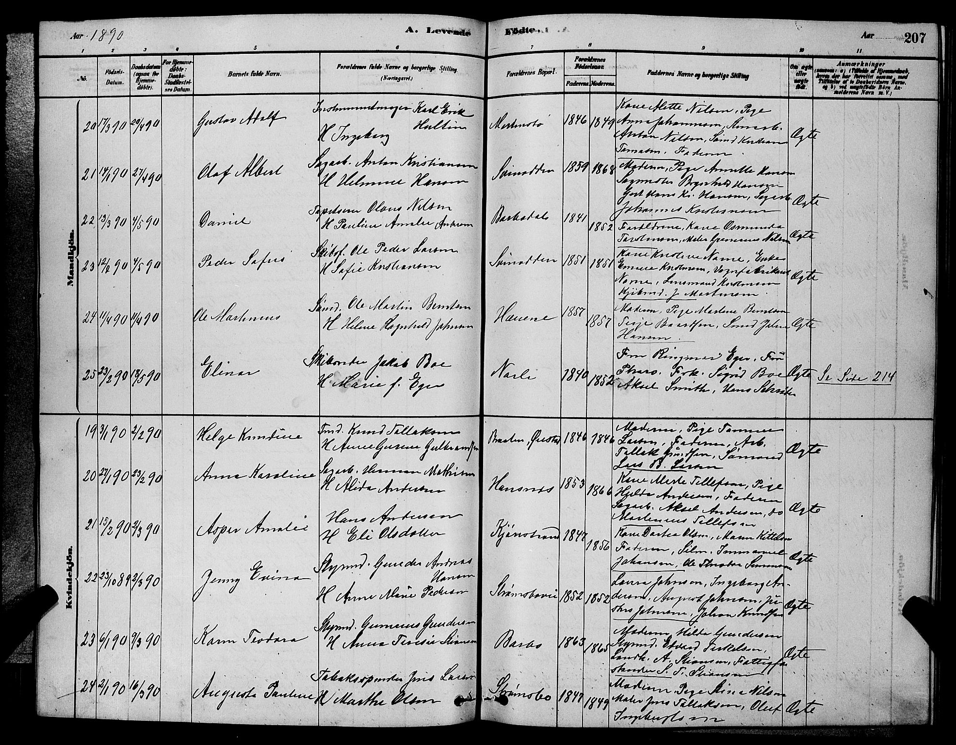 Barbu sokneprestkontor, AV/SAK-1111-0003/F/Fb/L0001: Parish register (copy) no. B 1, 1878-1890, p. 207