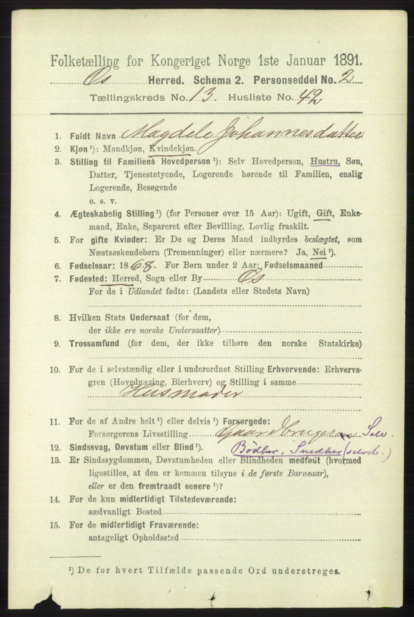 RA, 1891 census for 1243 Os, 1891, p. 3051