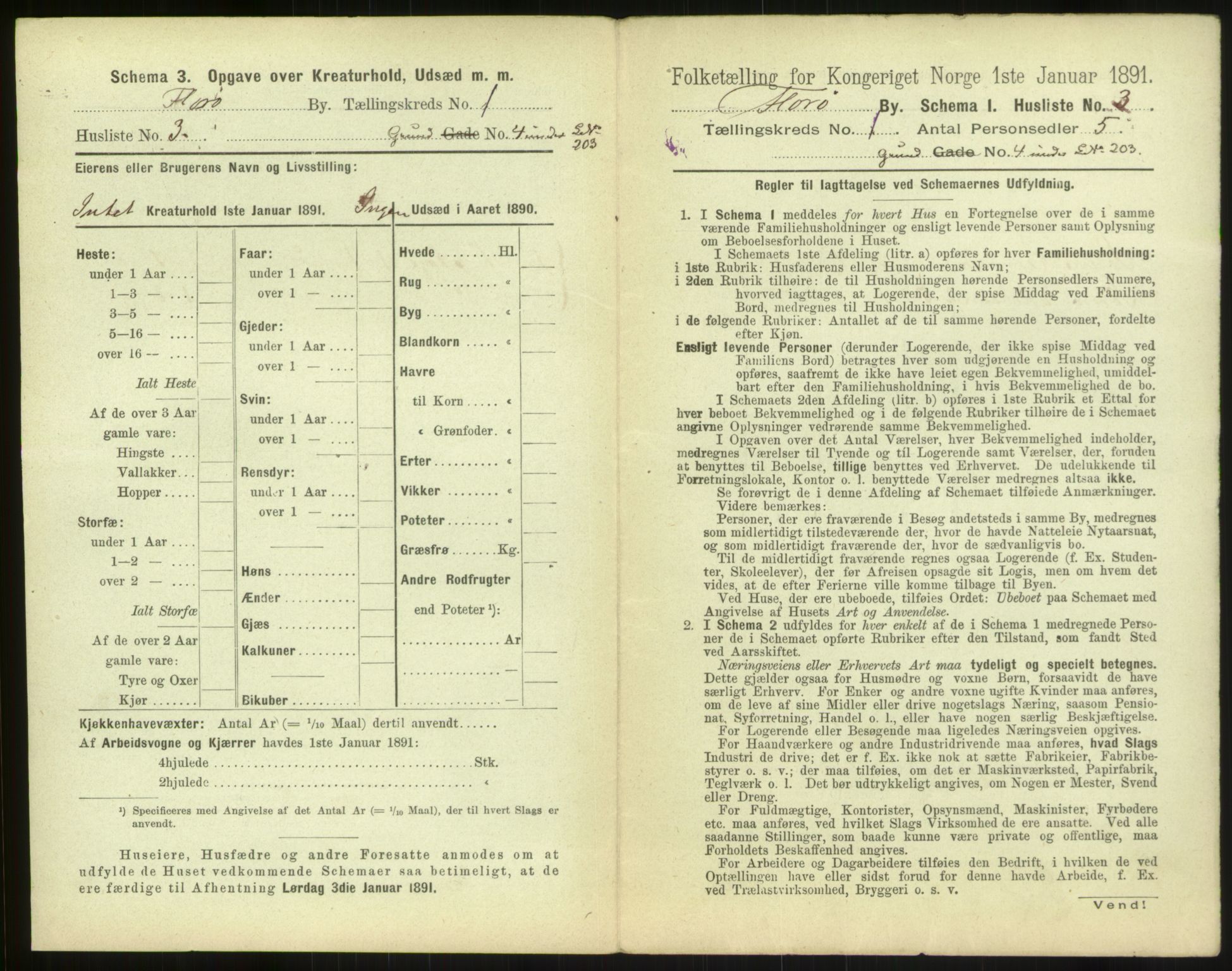 RA, 1891 census for 1401 Florø, 1891, p. 13