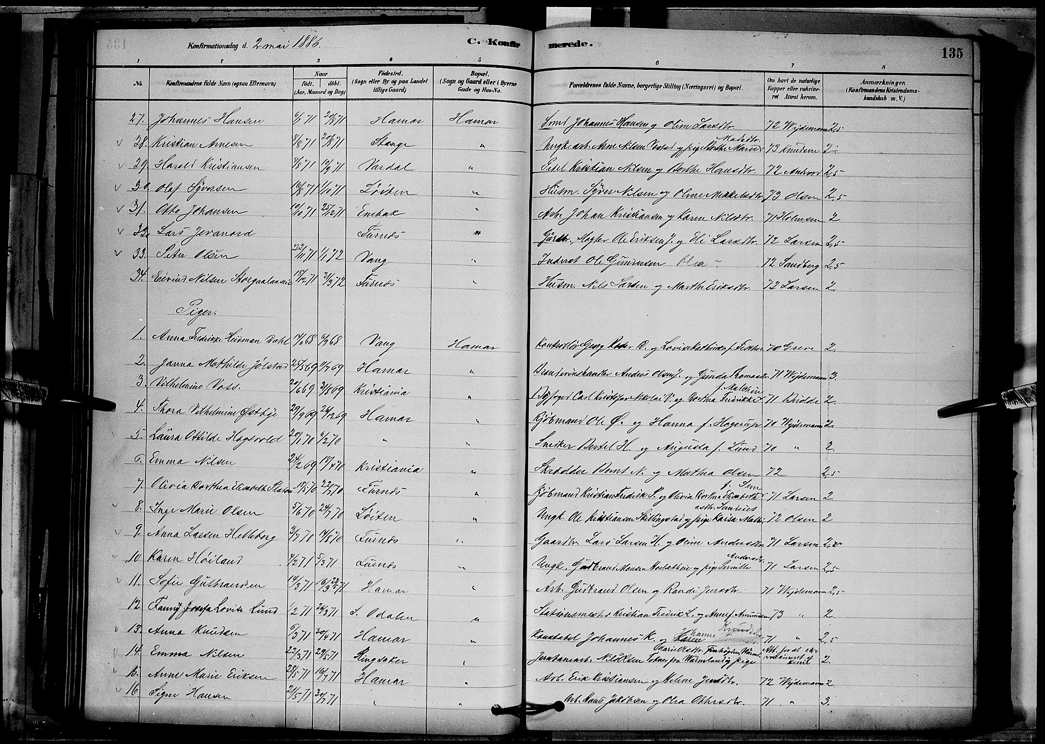 Vang prestekontor, Hedmark, AV/SAH-PREST-008/H/Ha/Hab/L0012: Parish register (copy) no. 12, 1878-1889, p. 135