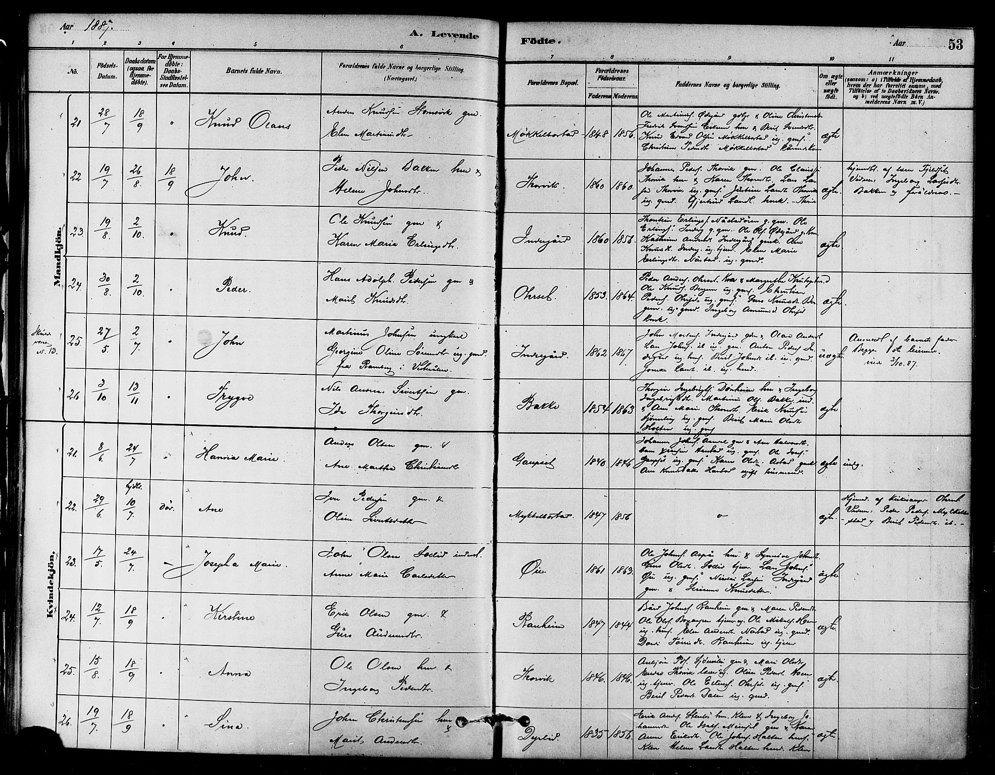 Ministerialprotokoller, klokkerbøker og fødselsregistre - Møre og Romsdal, AV/SAT-A-1454/584/L0967: Parish register (official) no. 584A07, 1879-1894, p. 53