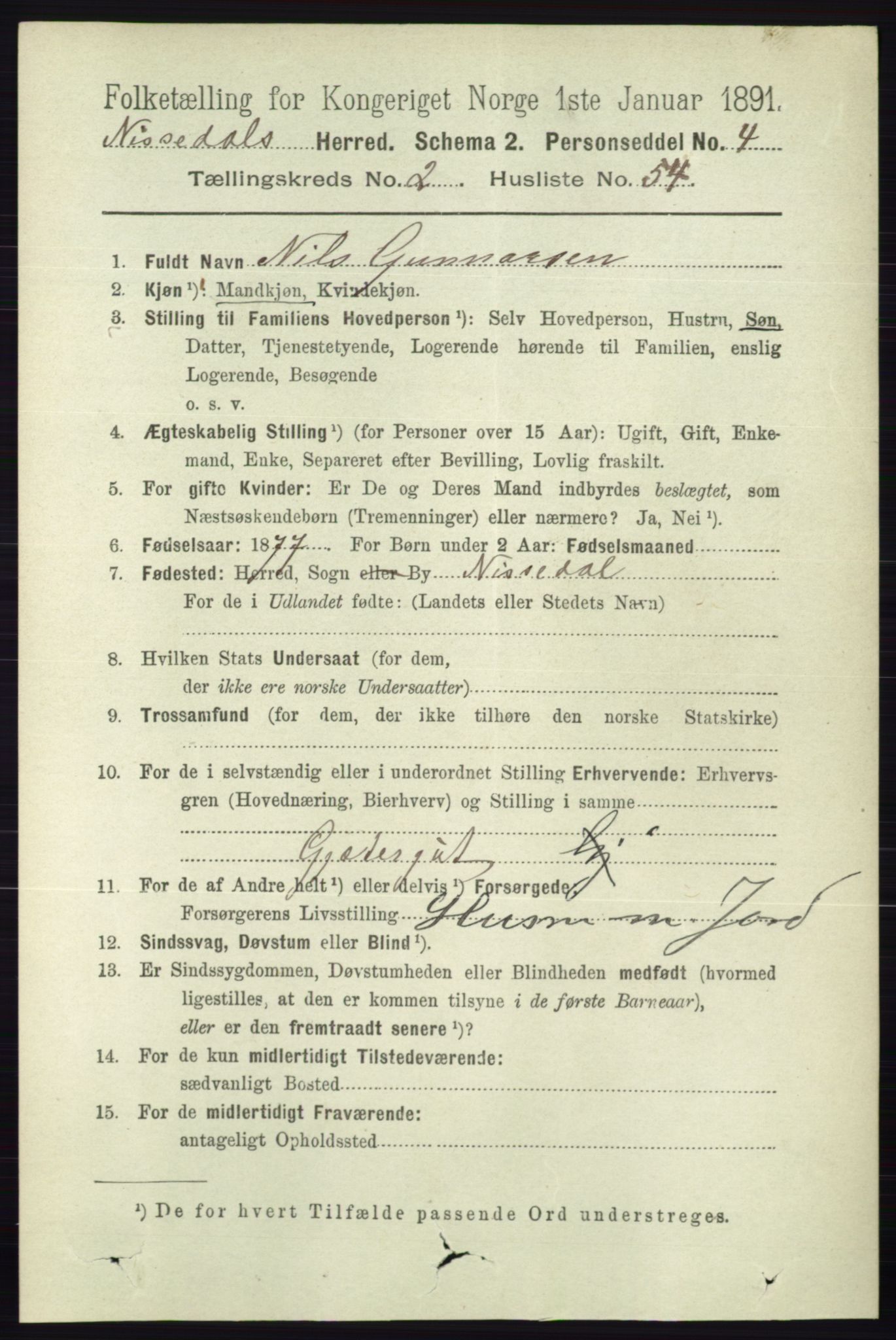 RA, 1891 census for 0830 Nissedal, 1891, p. 594