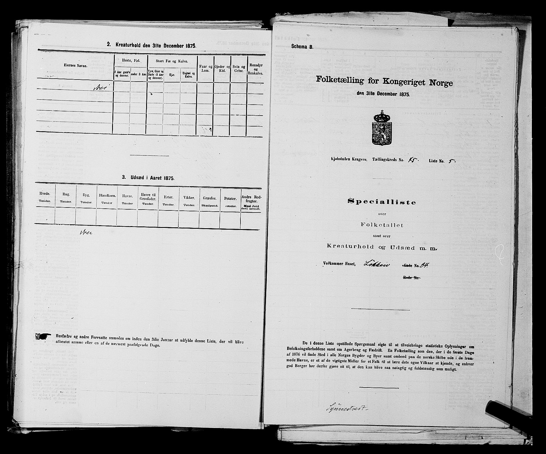 SAKO, 1875 census for 0801P Kragerø, 1875, p. 997