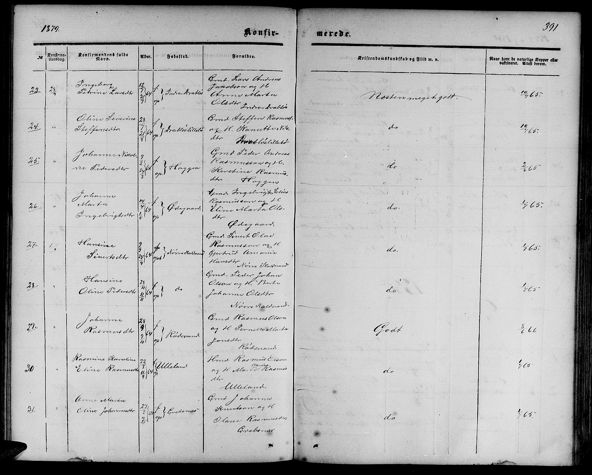 Ministerialprotokoller, klokkerbøker og fødselsregistre - Møre og Romsdal, AV/SAT-A-1454/511/L0157: Parish register (copy) no. 511C03, 1864-1884, p. 391