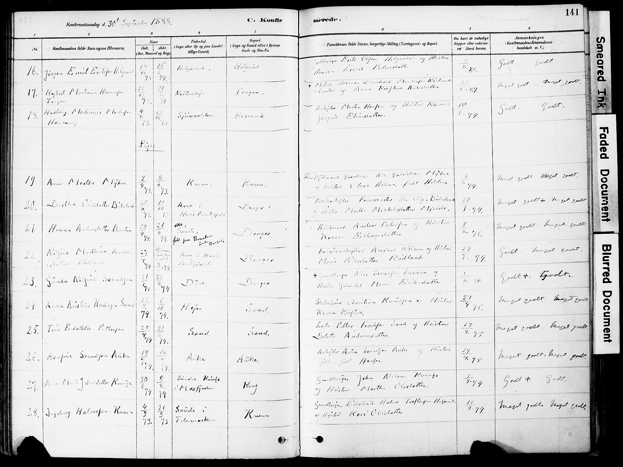 Strømm kirkebøker, AV/SAKO-A-322/F/Fa/L0004: Parish register (official) no. I 4, 1878-1899, p. 141