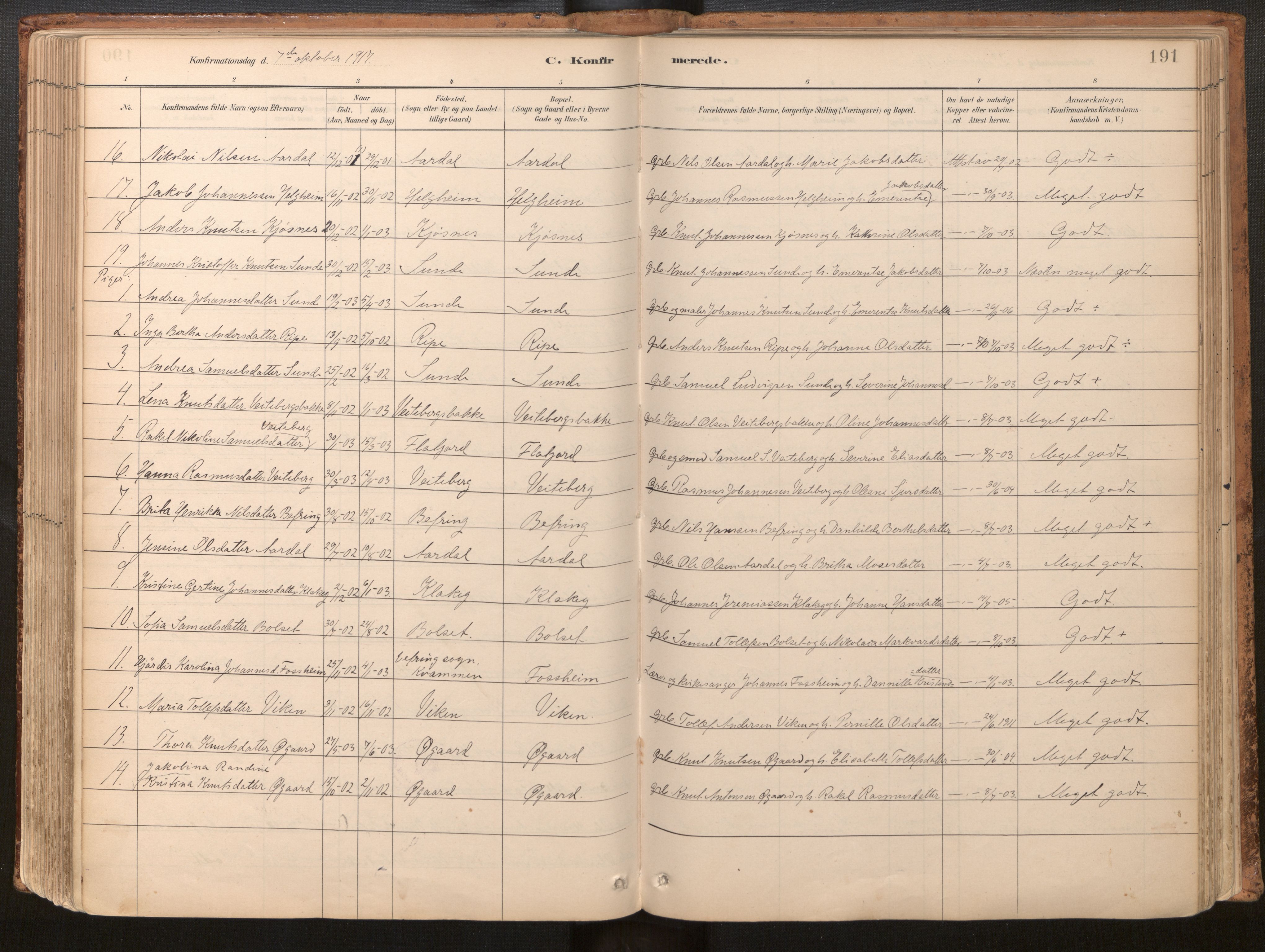 Jølster sokneprestembete, SAB/A-80701/H/Haa/Haac/L0001: Parish register (official) no. C 1, 1882-1928, p. 191