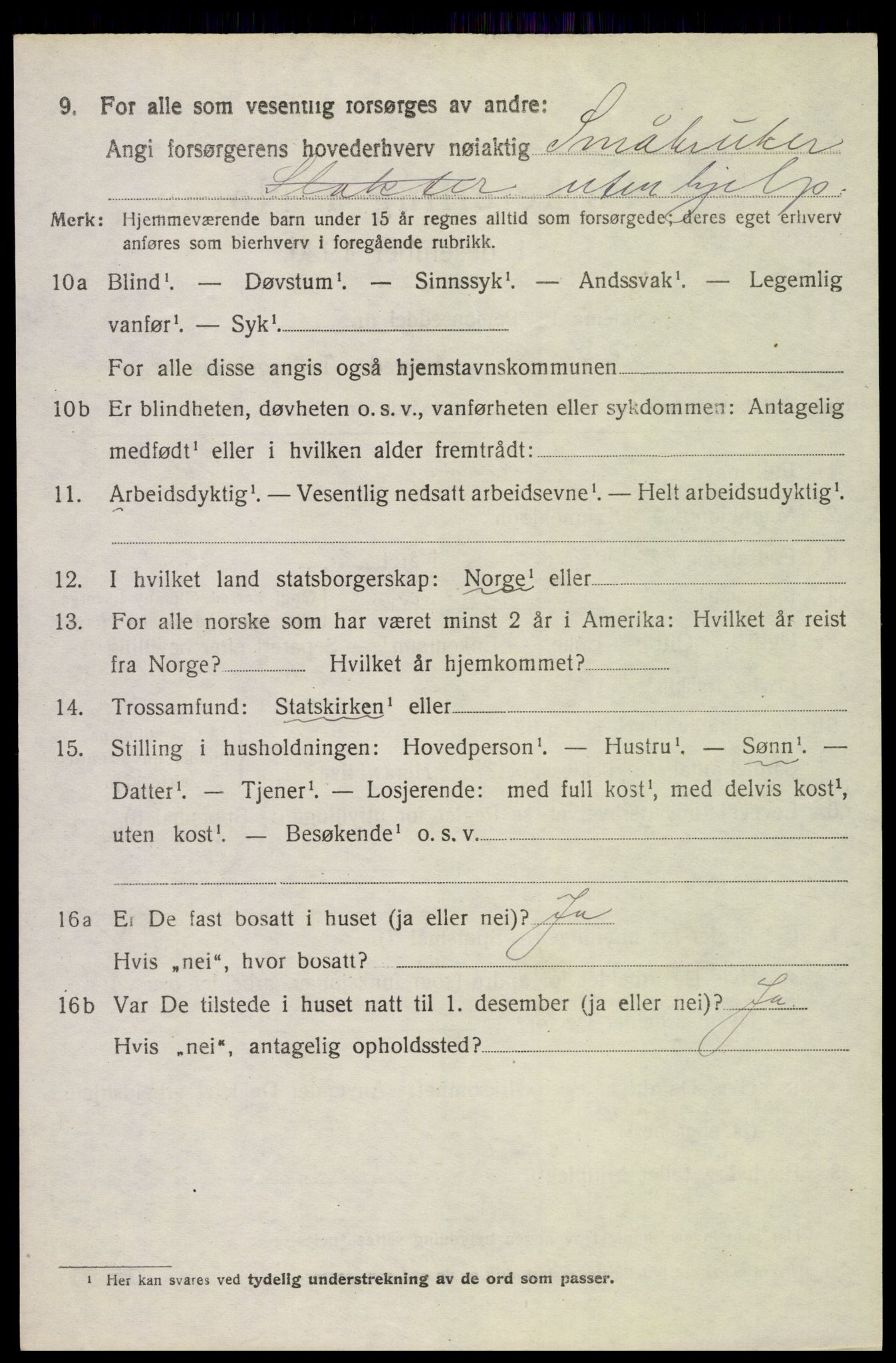 SAH, 1920 census for Sør-Odal, 1920, p. 13924