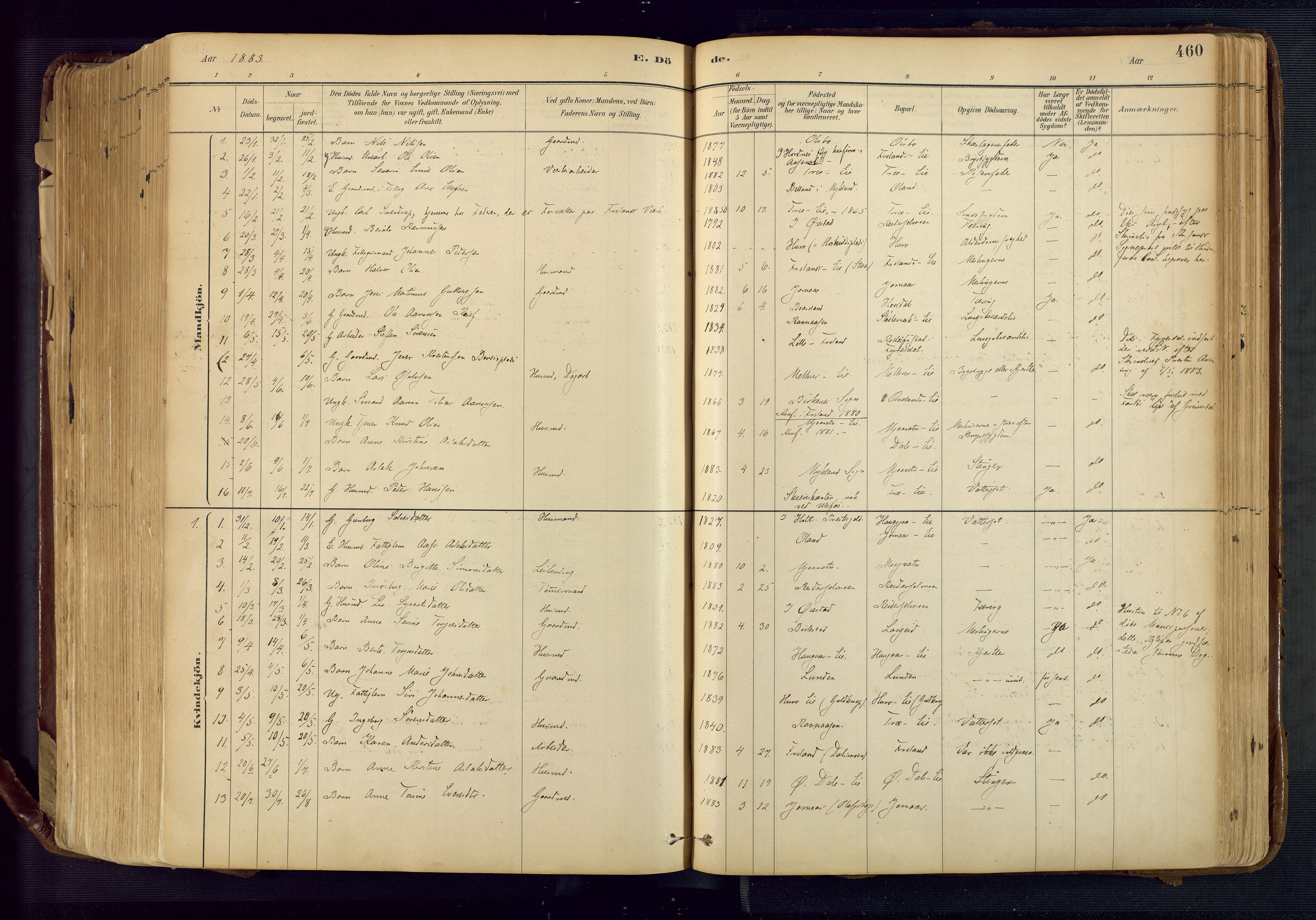 Froland sokneprestkontor, SAK/1111-0013/F/Fa/L0005: Parish register (official) no. A 5, 1882-1921, p. 460