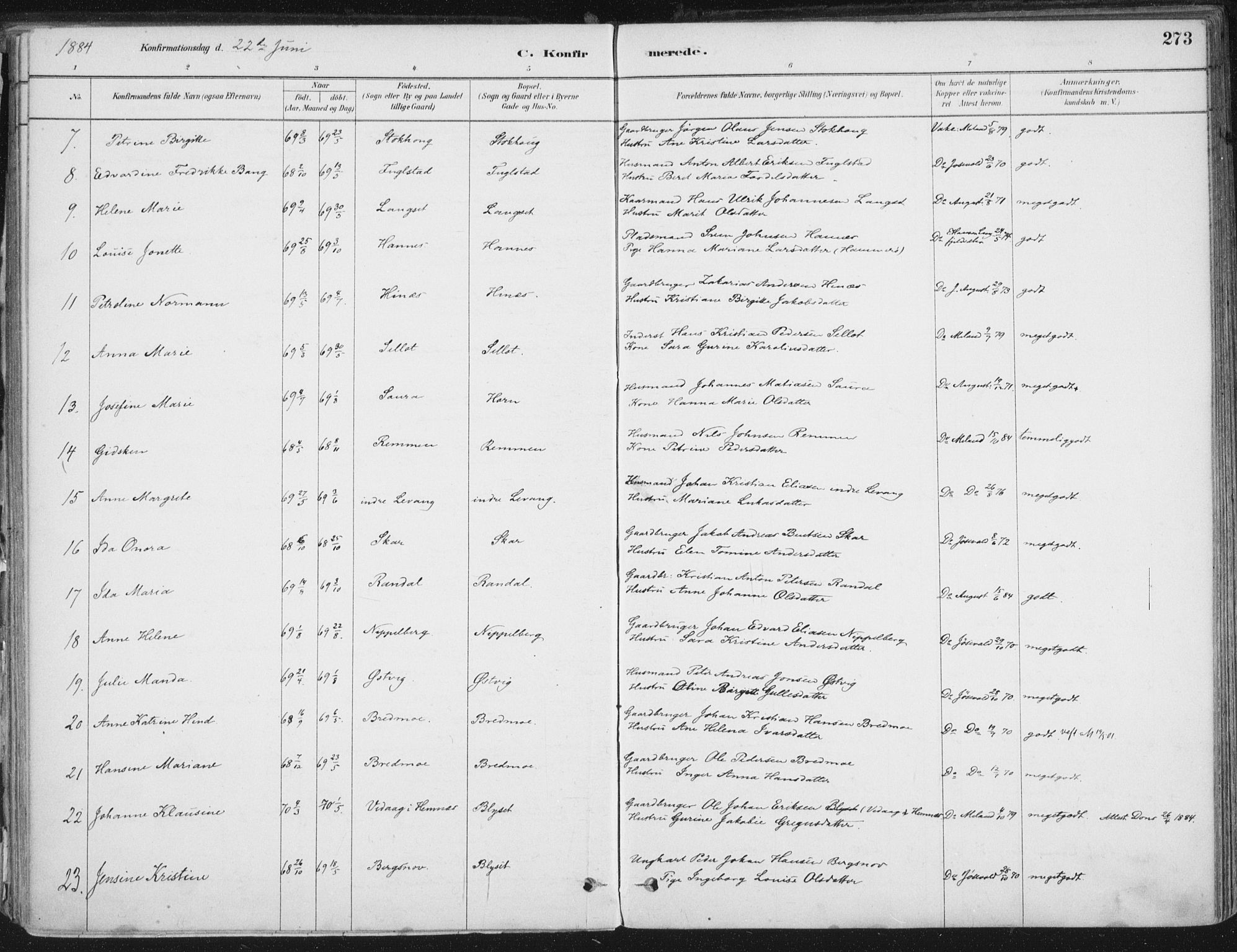 Ministerialprotokoller, klokkerbøker og fødselsregistre - Nordland, AV/SAT-A-1459/838/L0552: Parish register (official) no. 838A10, 1880-1910, p. 273