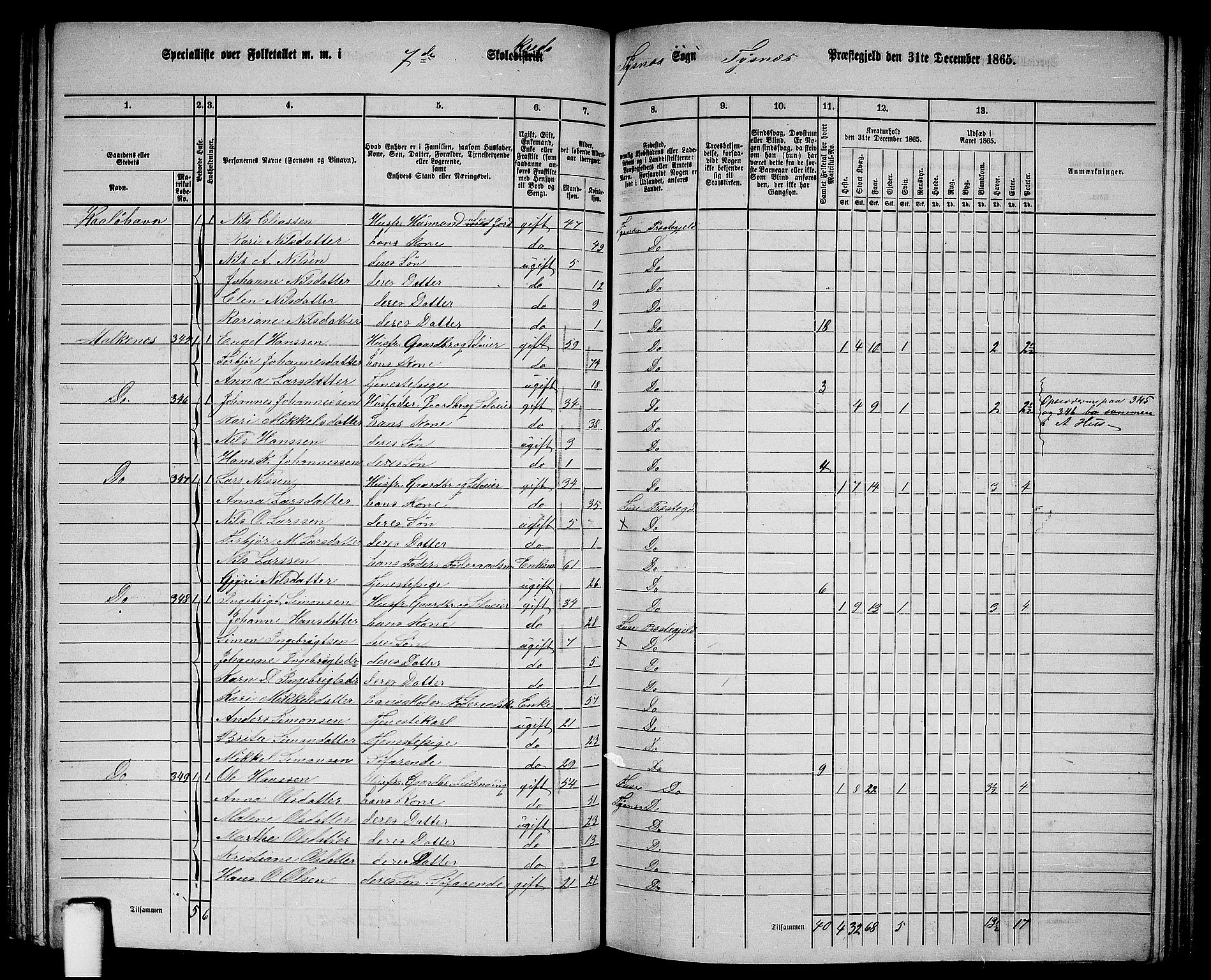 RA, 1865 census for Tysnes, 1865, p. 119