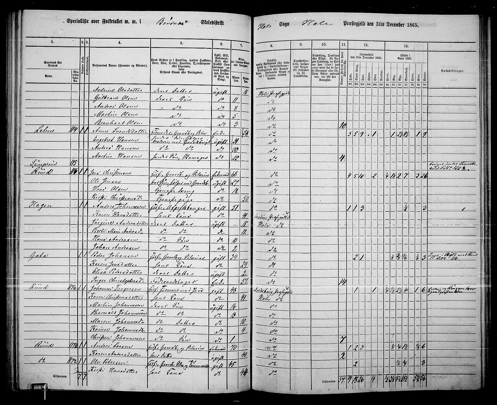 RA, 1865 census for Hole, 1865, p. 88