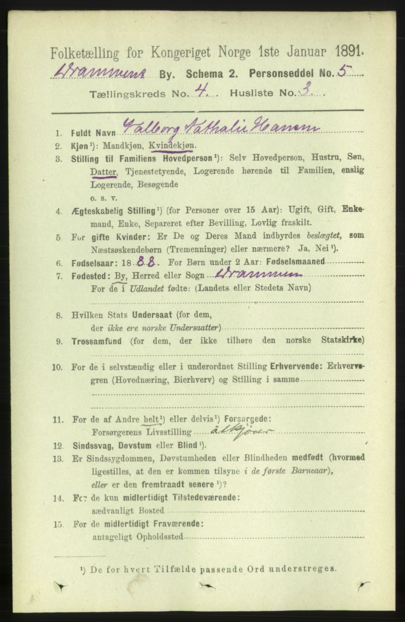 RA, 1891 census for 0602 Drammen, 1891, p. 5319