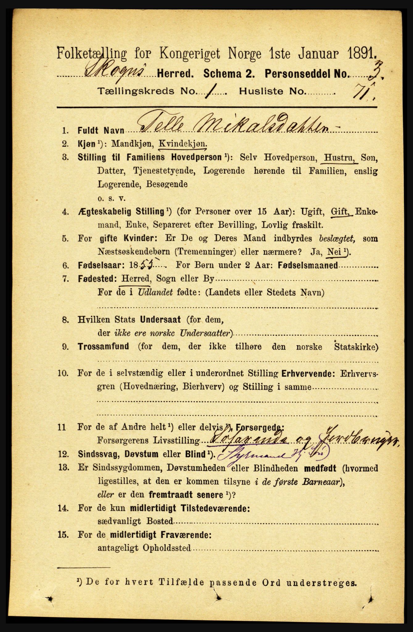 RA, 1891 census for 1719 Skogn, 1891, p. 541