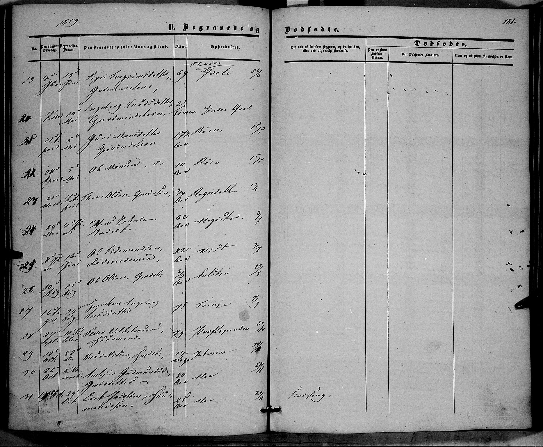 Vestre Slidre prestekontor, AV/SAH-PREST-136/H/Ha/Haa/L0002: Parish register (official) no. 2, 1856-1864, p. 181