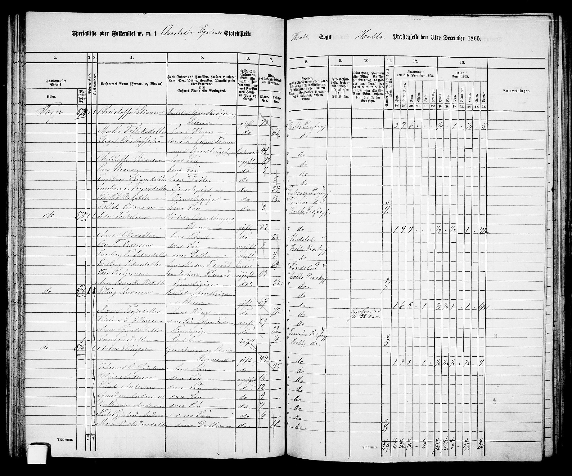 RA, 1865 census for Holt/Holt, 1865, p. 61