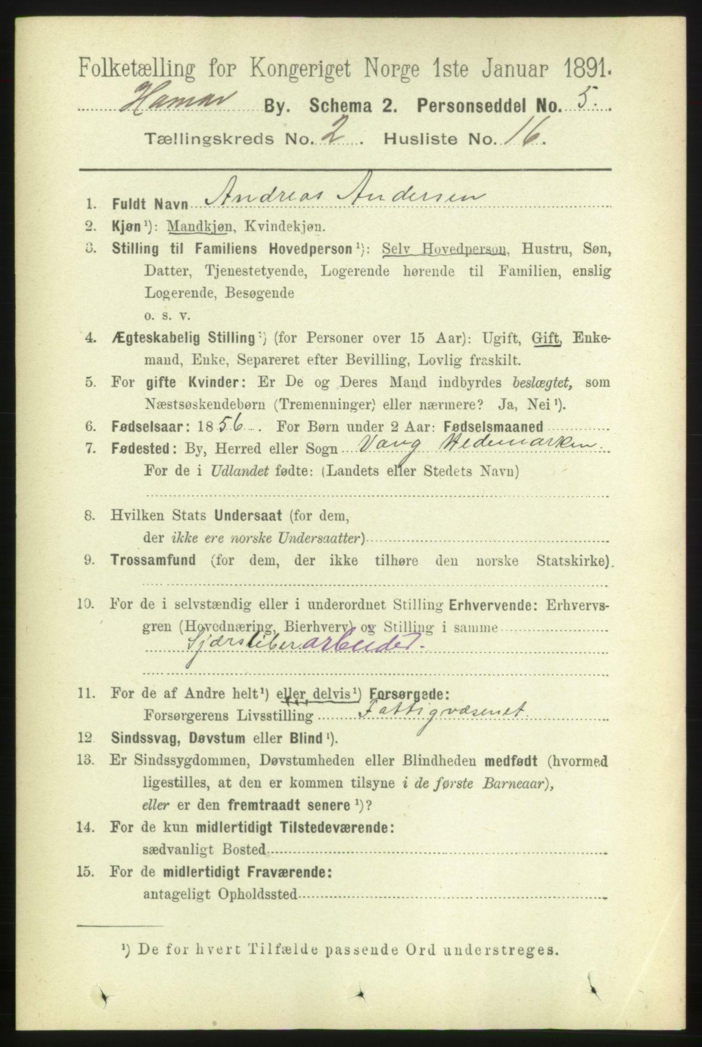 RA, 1891 census for 0401 Hamar, 1891, p. 1202