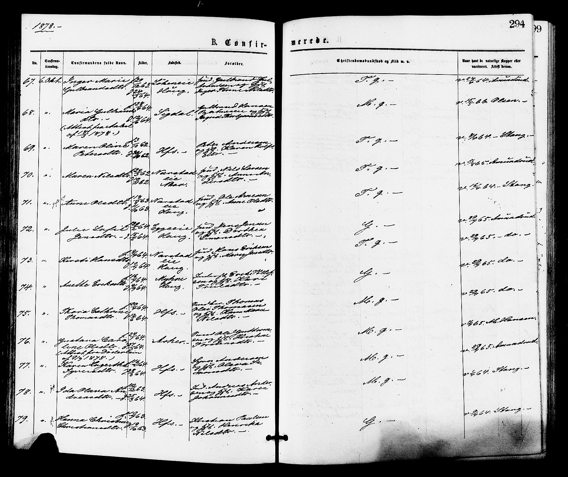 Norderhov kirkebøker, AV/SAKO-A-237/F/Fa/L0015: Parish register (official) no. 15, 1875-1884, p. 294