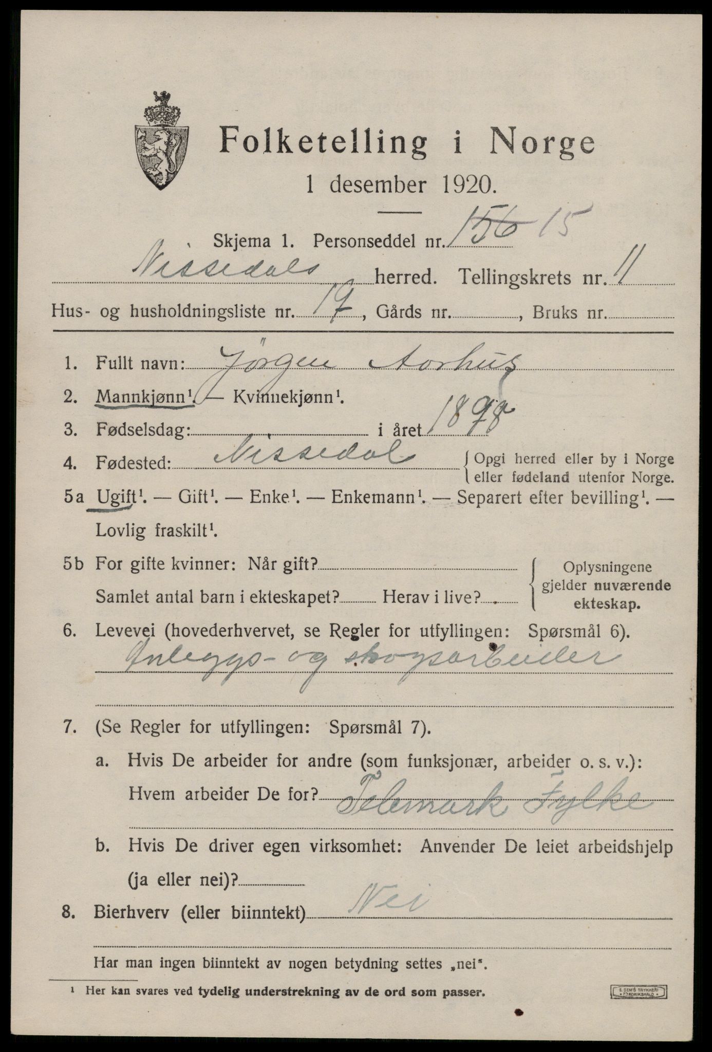 SAKO, 1920 census for Nissedal, 1920, p. 4707