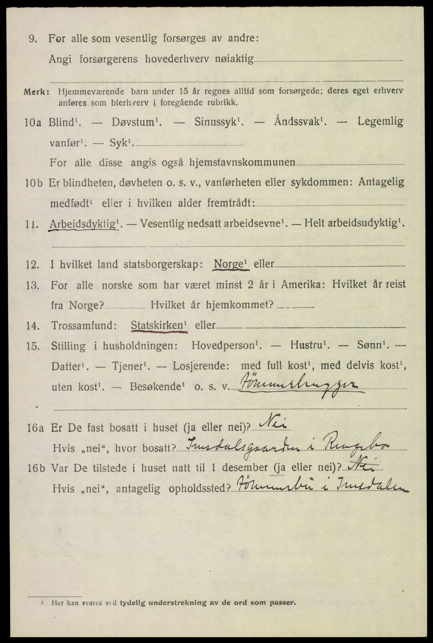 SAH, 1920 census for Stor-Elvdal, 1920, p. 4905