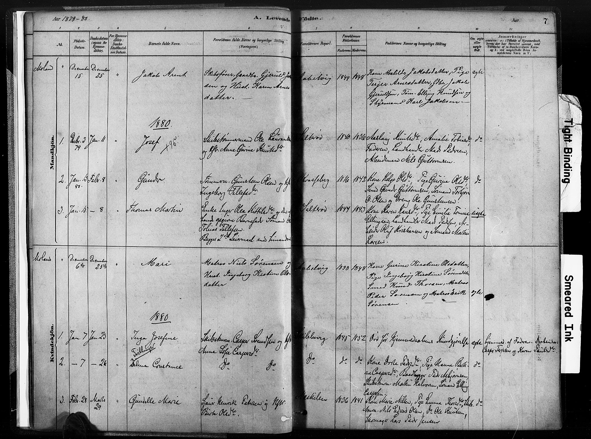 Austre Moland sokneprestkontor, SAK/1111-0001/F/Fa/Fab/L0001: Parish register (official) no. A 1, 1878-1898, p. 7