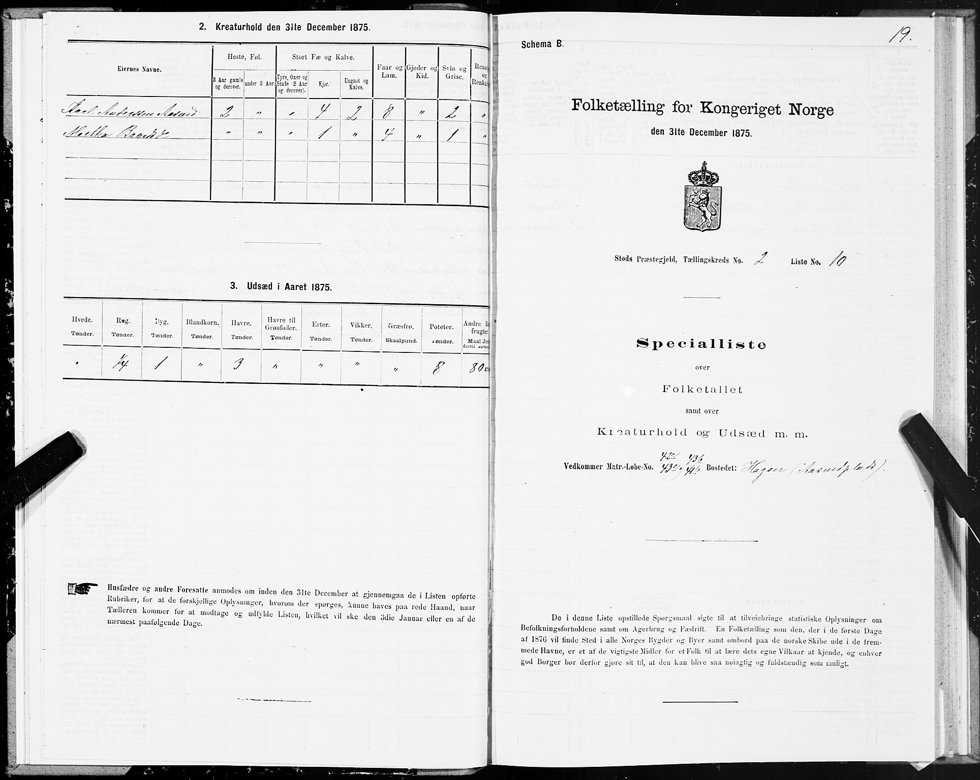 SAT, 1875 census for 1734P Stod, 1875, p. 2019