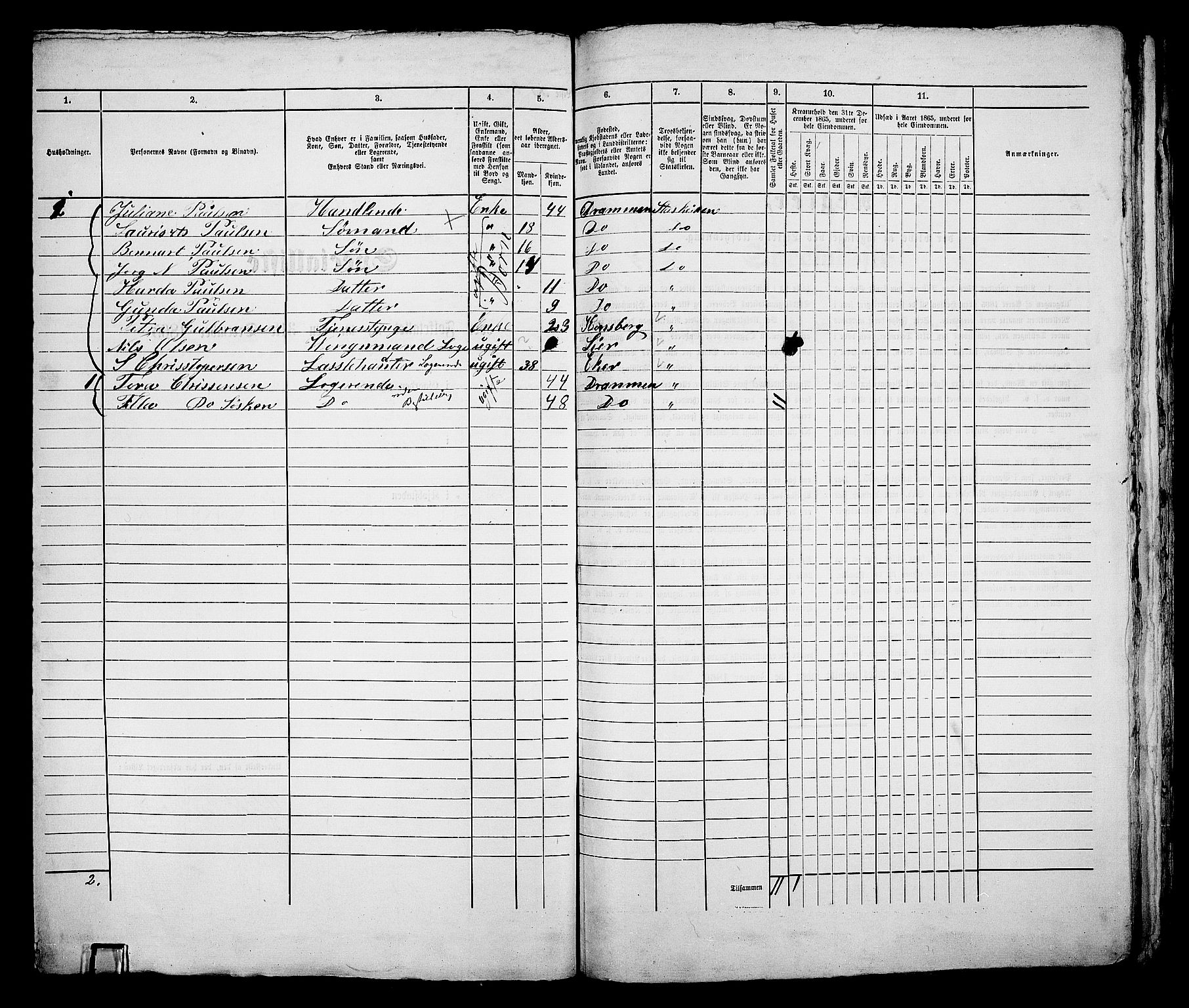 RA, 1865 census for Bragernes in Drammen, 1865, p. 517