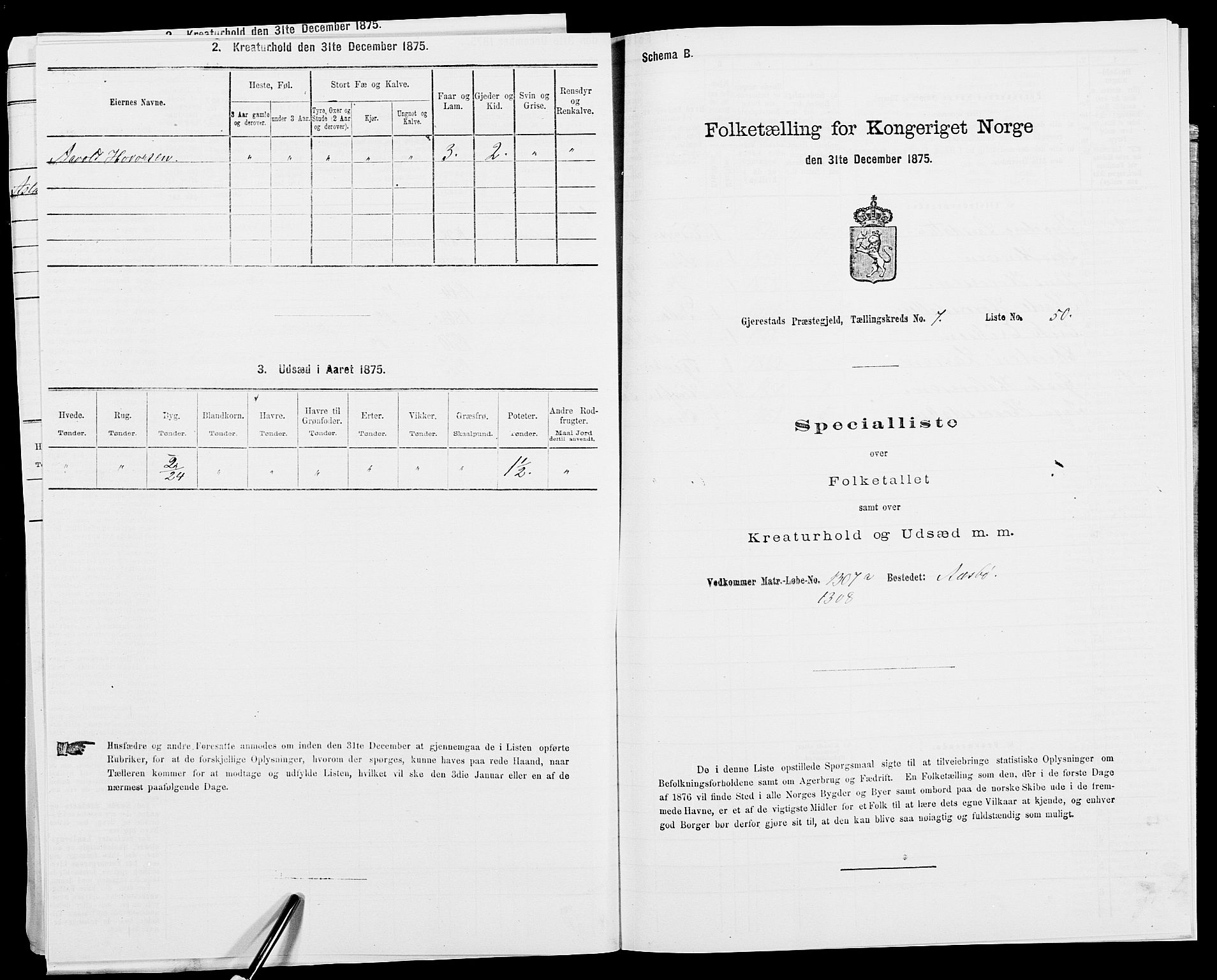 SAK, 1875 census for 0911P Gjerstad, 1875, p. 807