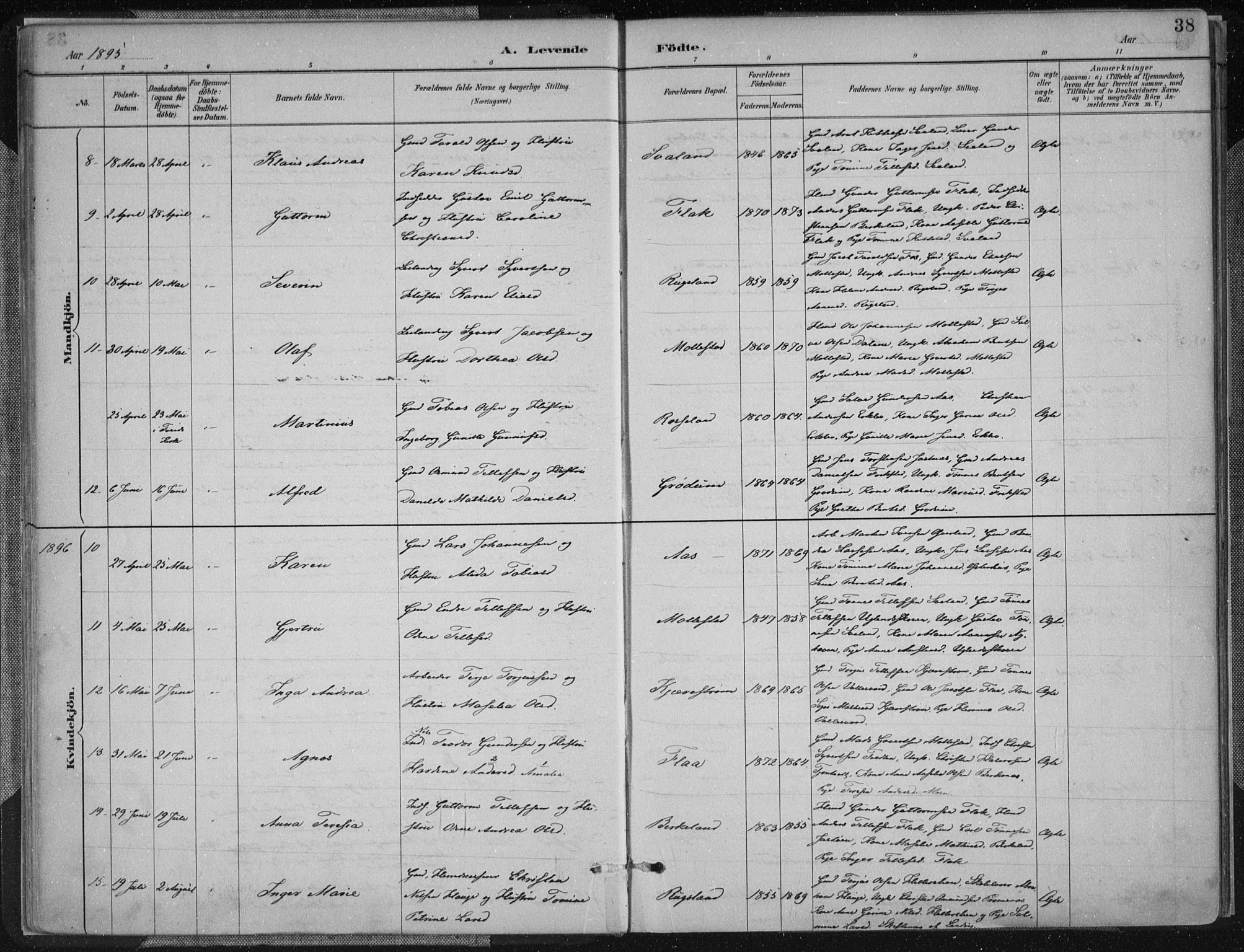 Birkenes sokneprestkontor, AV/SAK-1111-0004/F/Fa/L0005: Parish register (official) no. A 5, 1887-1907, p. 38