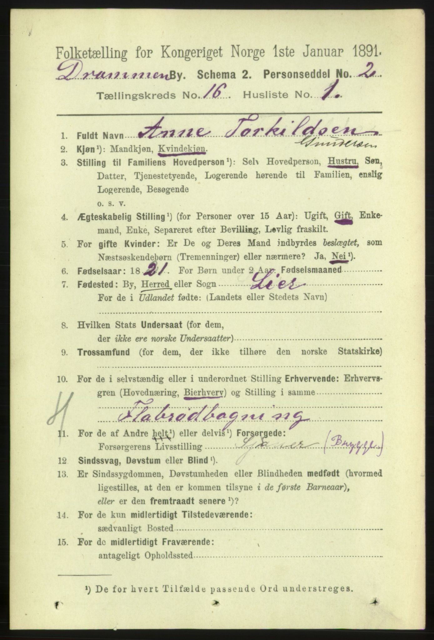 RA, 1891 census for 0602 Drammen, 1891, p. 10958