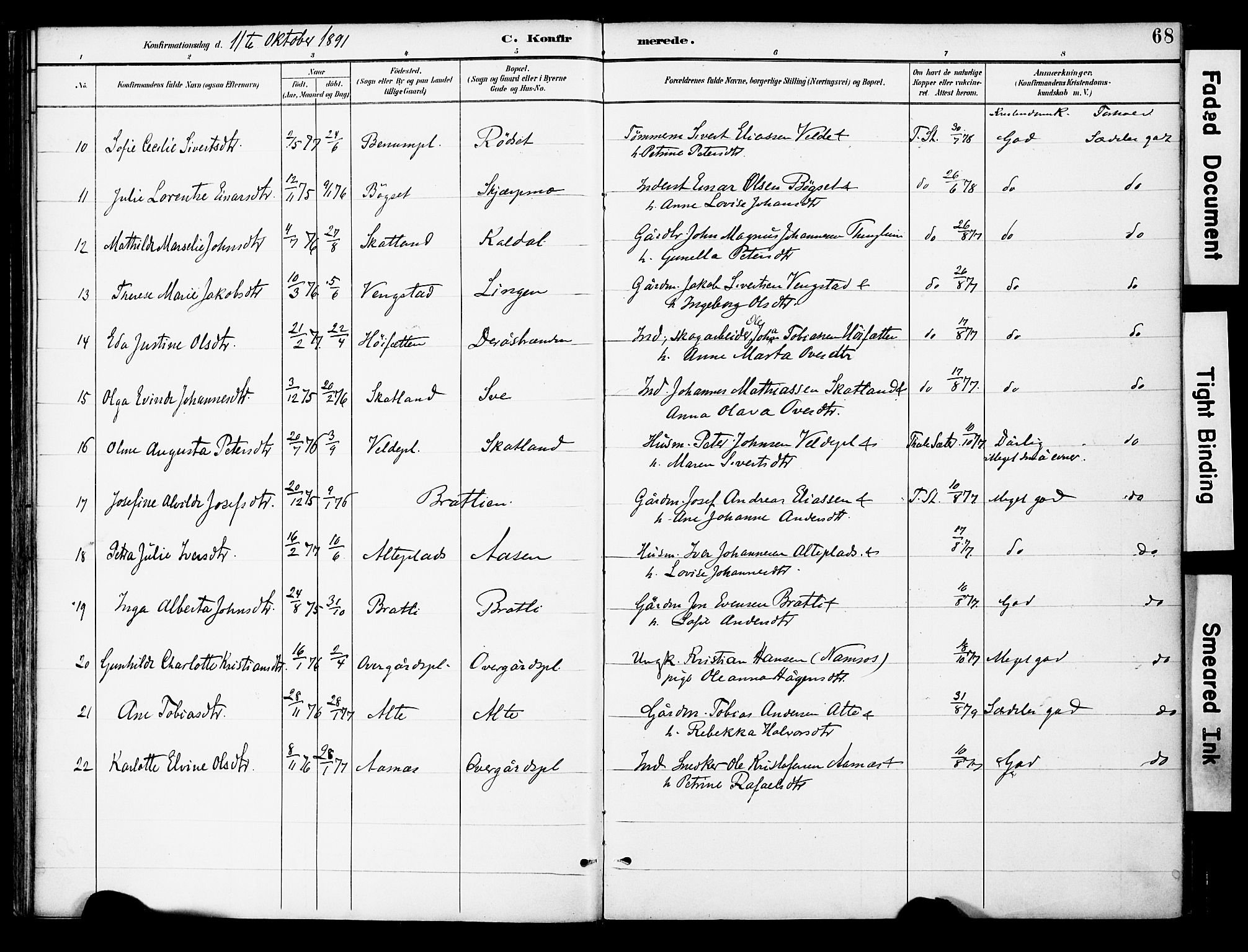 Ministerialprotokoller, klokkerbøker og fødselsregistre - Nord-Trøndelag, AV/SAT-A-1458/742/L0409: Parish register (official) no. 742A02, 1891-1905, p. 68