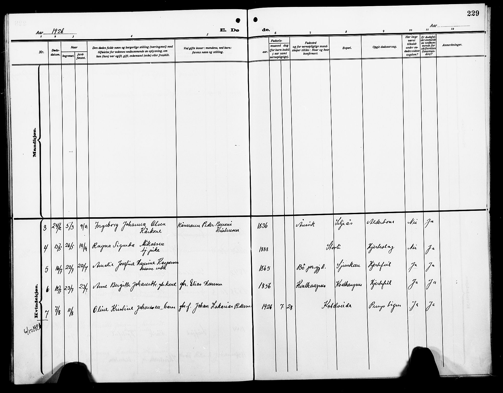 Ministerialprotokoller, klokkerbøker og fødselsregistre - Nordland, AV/SAT-A-1459/854/L0787: Parish register (copy) no. 854C03, 1913-1926, p. 229