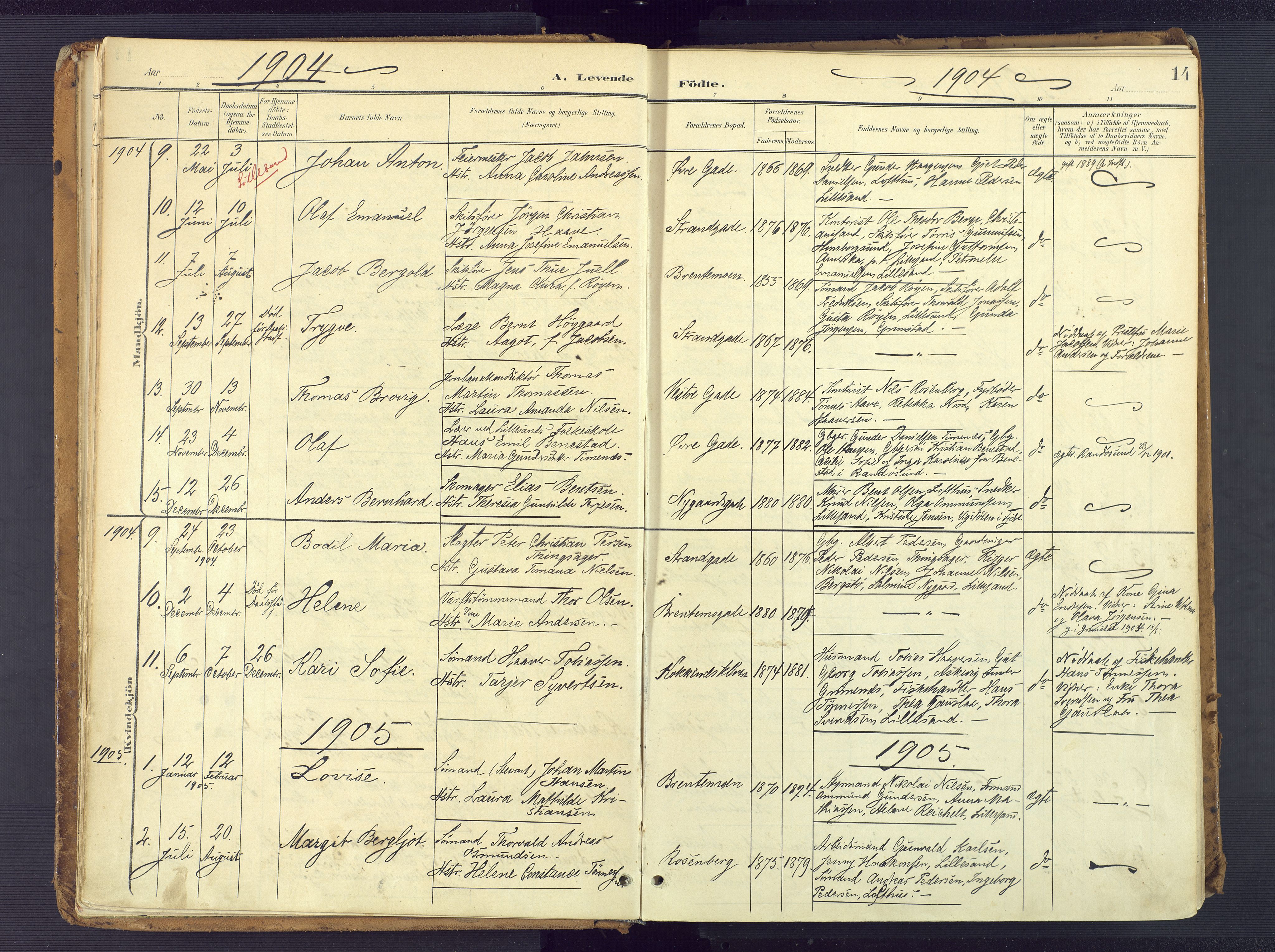 Vestre Moland sokneprestkontor, AV/SAK-1111-0046/F/Fa/Faa/L0002: Parish register (official) no. A 2, 1900-1926, p. 14