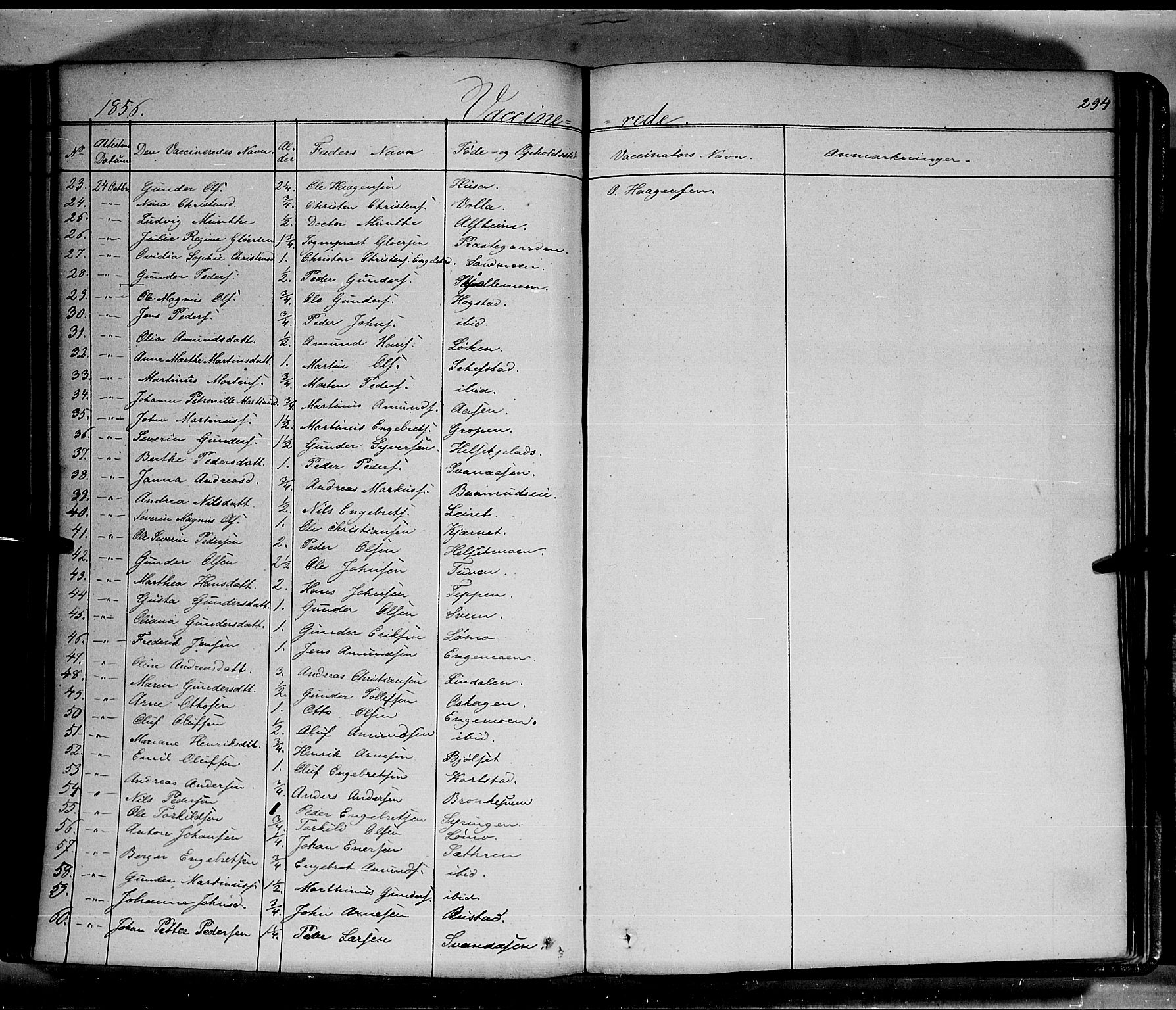 Elverum prestekontor, AV/SAH-PREST-044/H/Ha/Haa/L0009: Parish register (official) no. 9, 1843-1856, p. 294